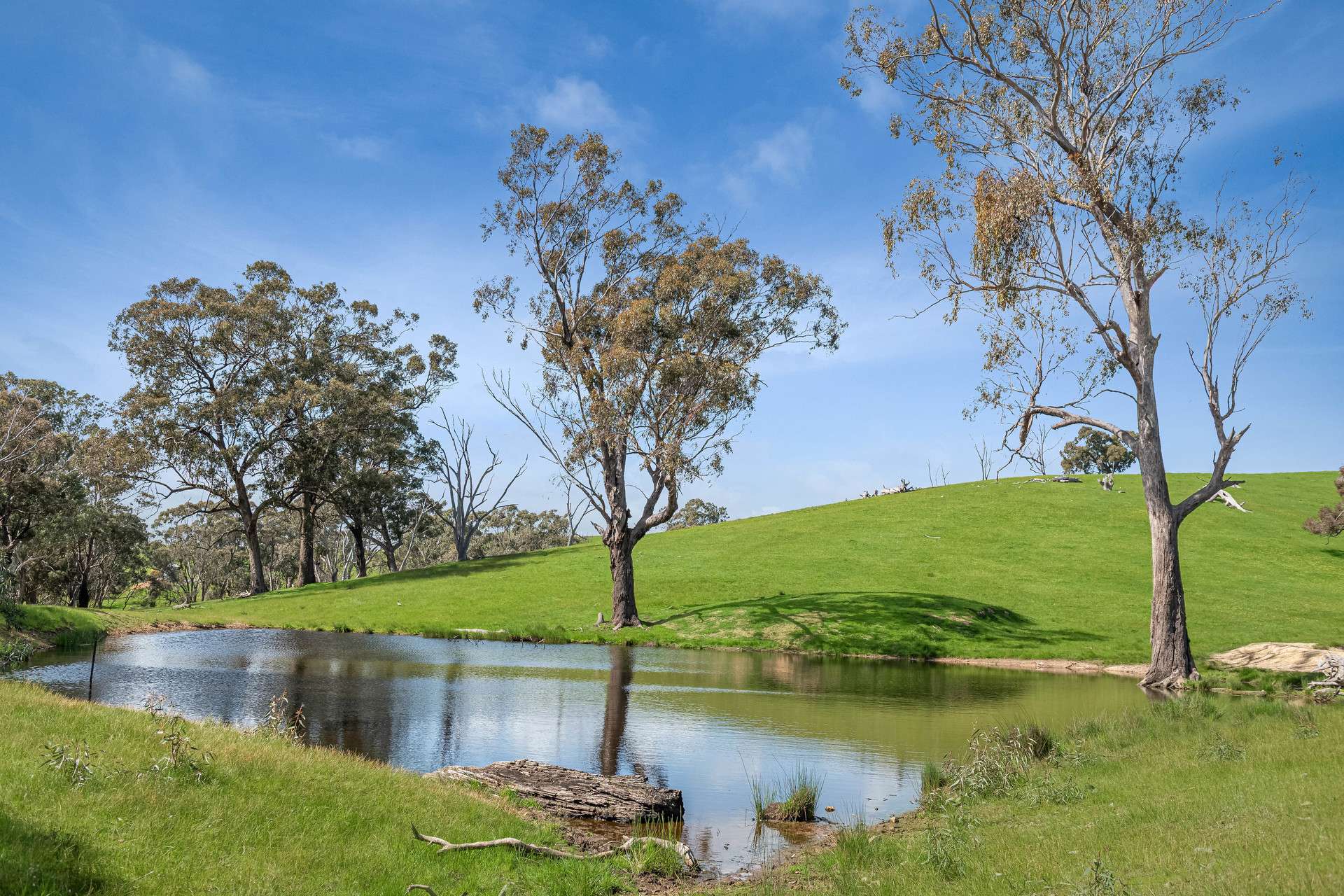53A & 53K Northern Highway, Pyalong For Sale by Farmbuy.com - image 9