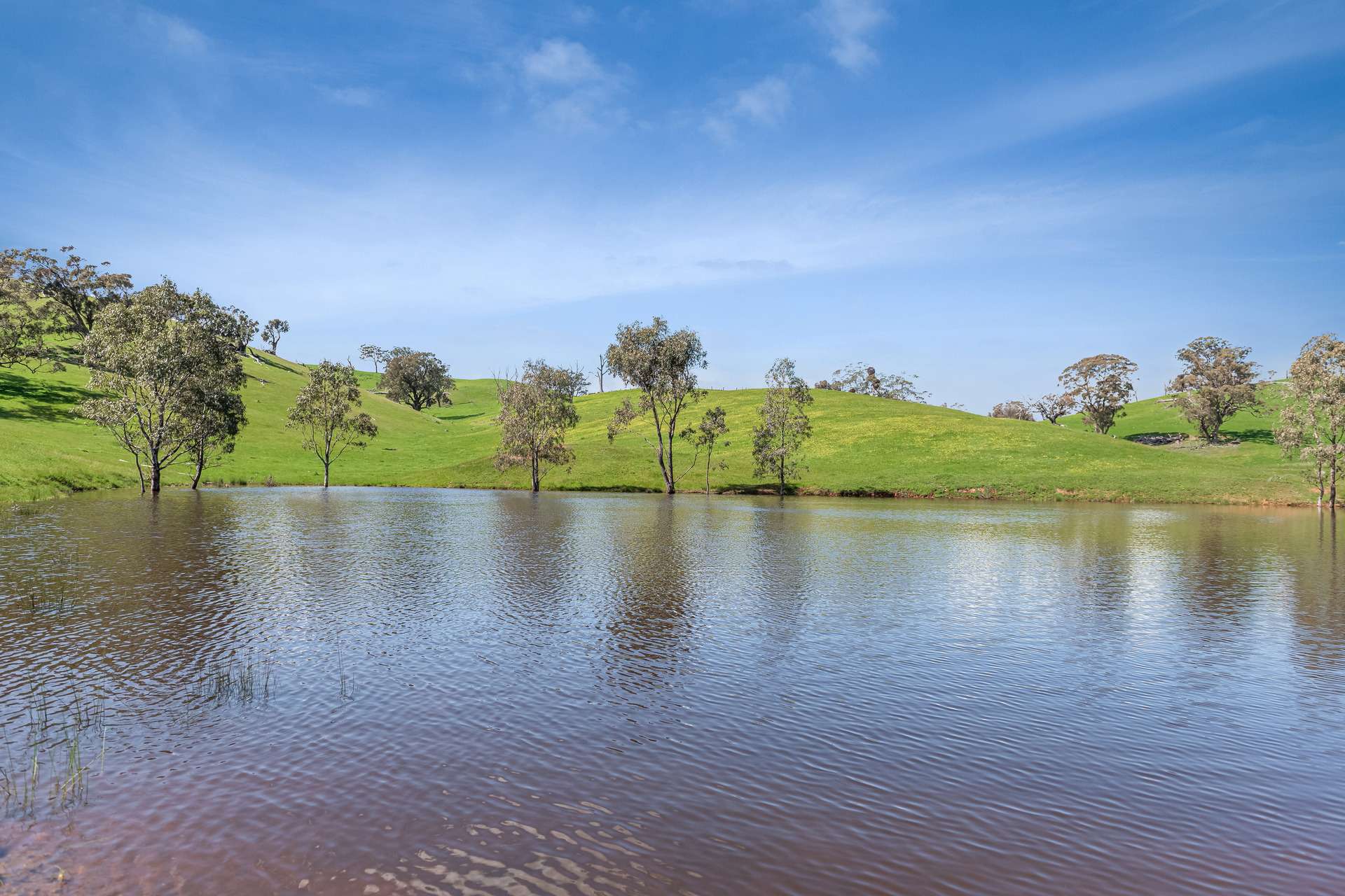 53A & 53K Northern Highway, Pyalong For Sale by Farmbuy.com - image 8
