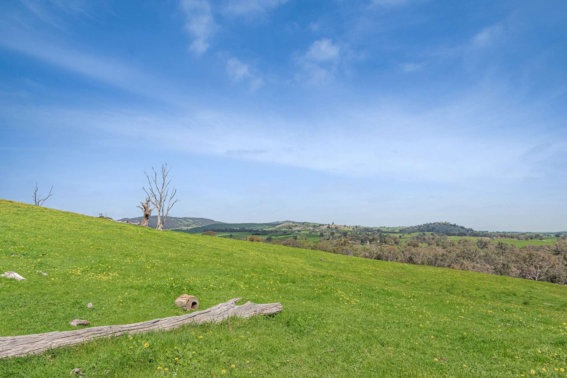 53A & 53K Northern Highway, Pyalong For Sale by Farmbuy.com - image 10