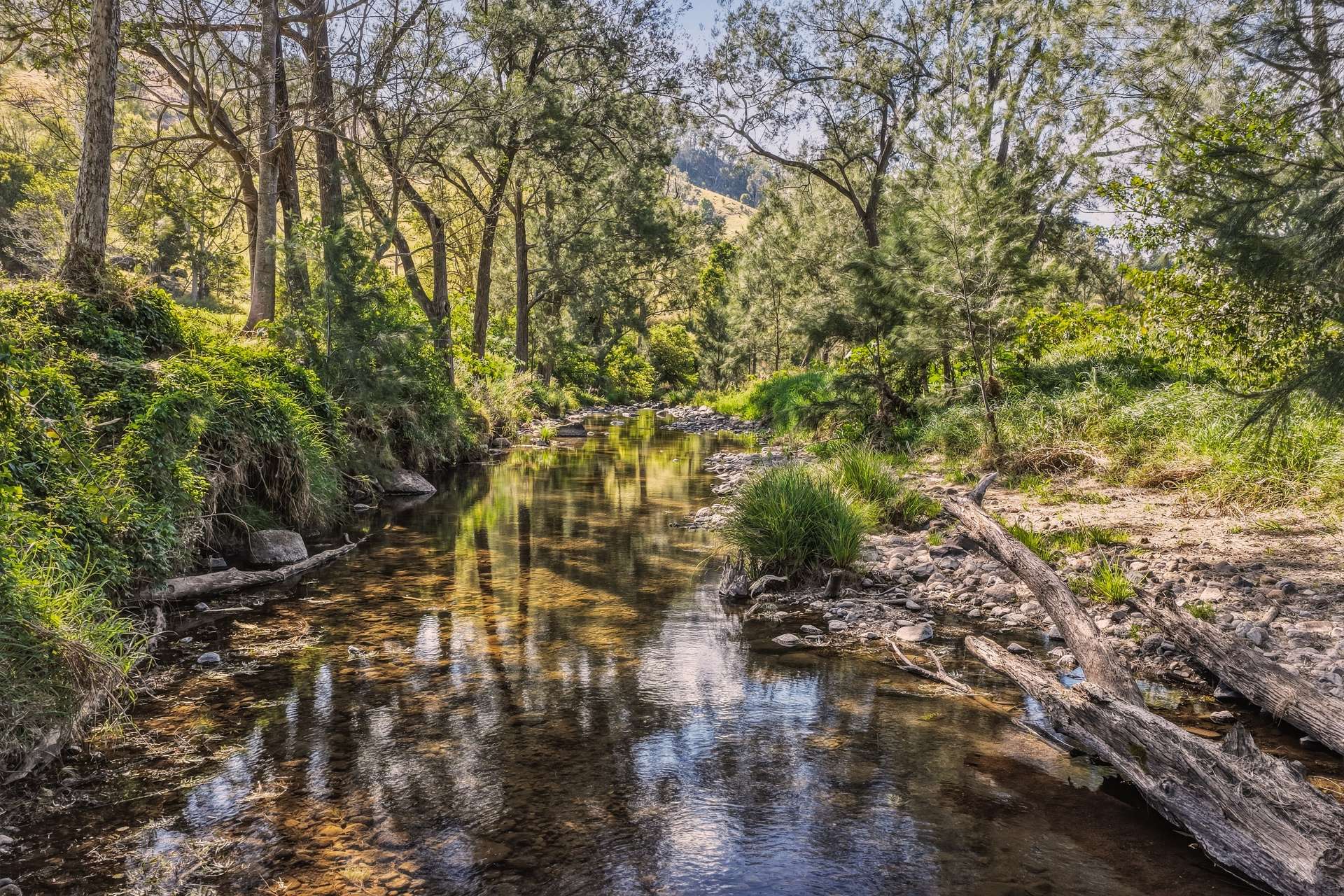 Lot 7 Illinbah Road, Illinbah For Sale by Farmbuy.com - image 3