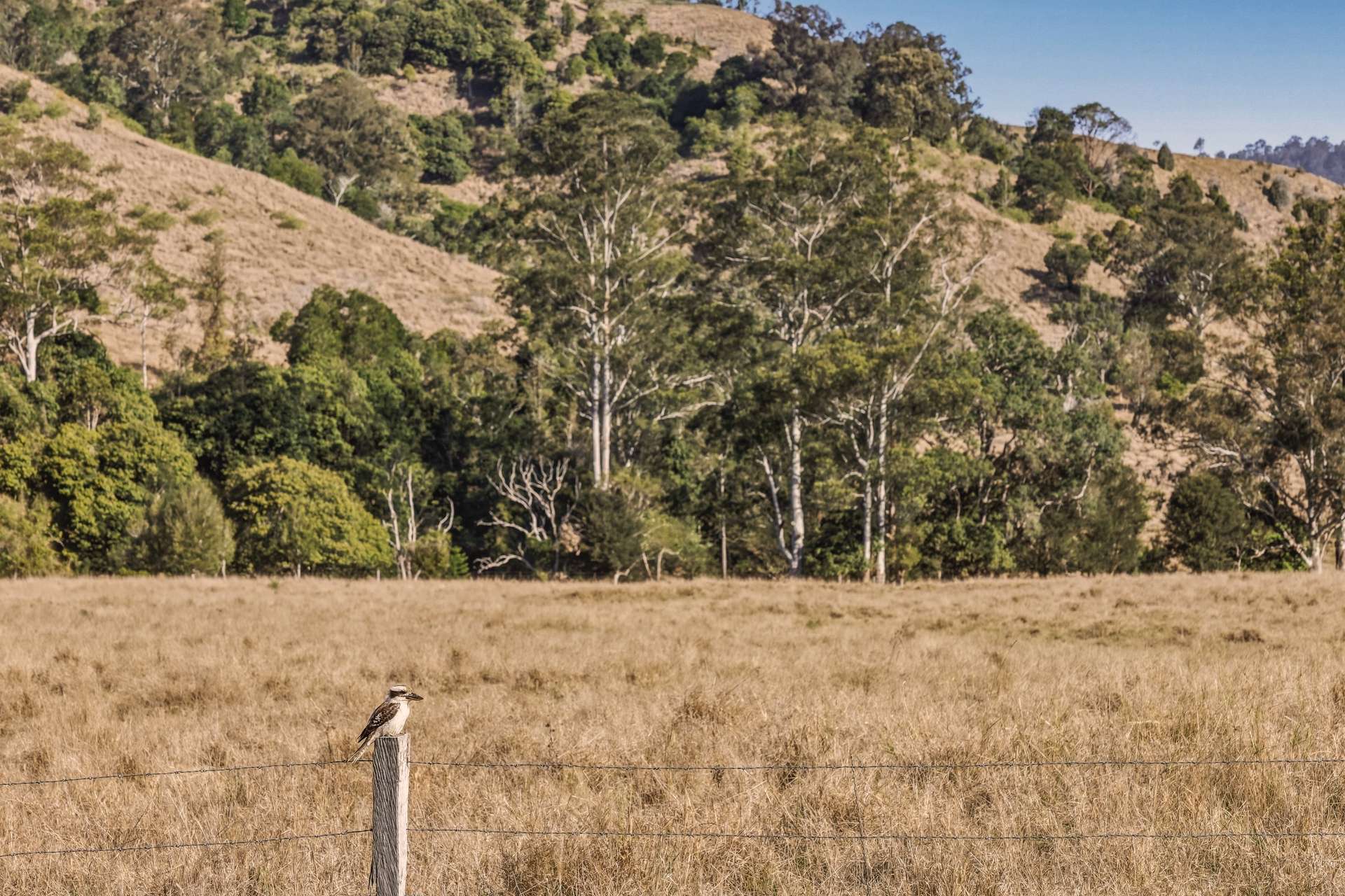 Lot 7 Illinbah Road, Illinbah For Sale by Farmbuy.com - image 4