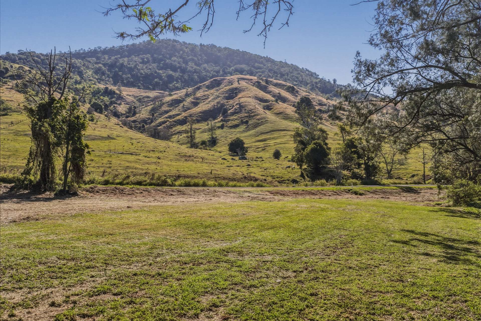 Lot 7 Illinbah Road, Illinbah For Sale by Farmbuy.com - image 6