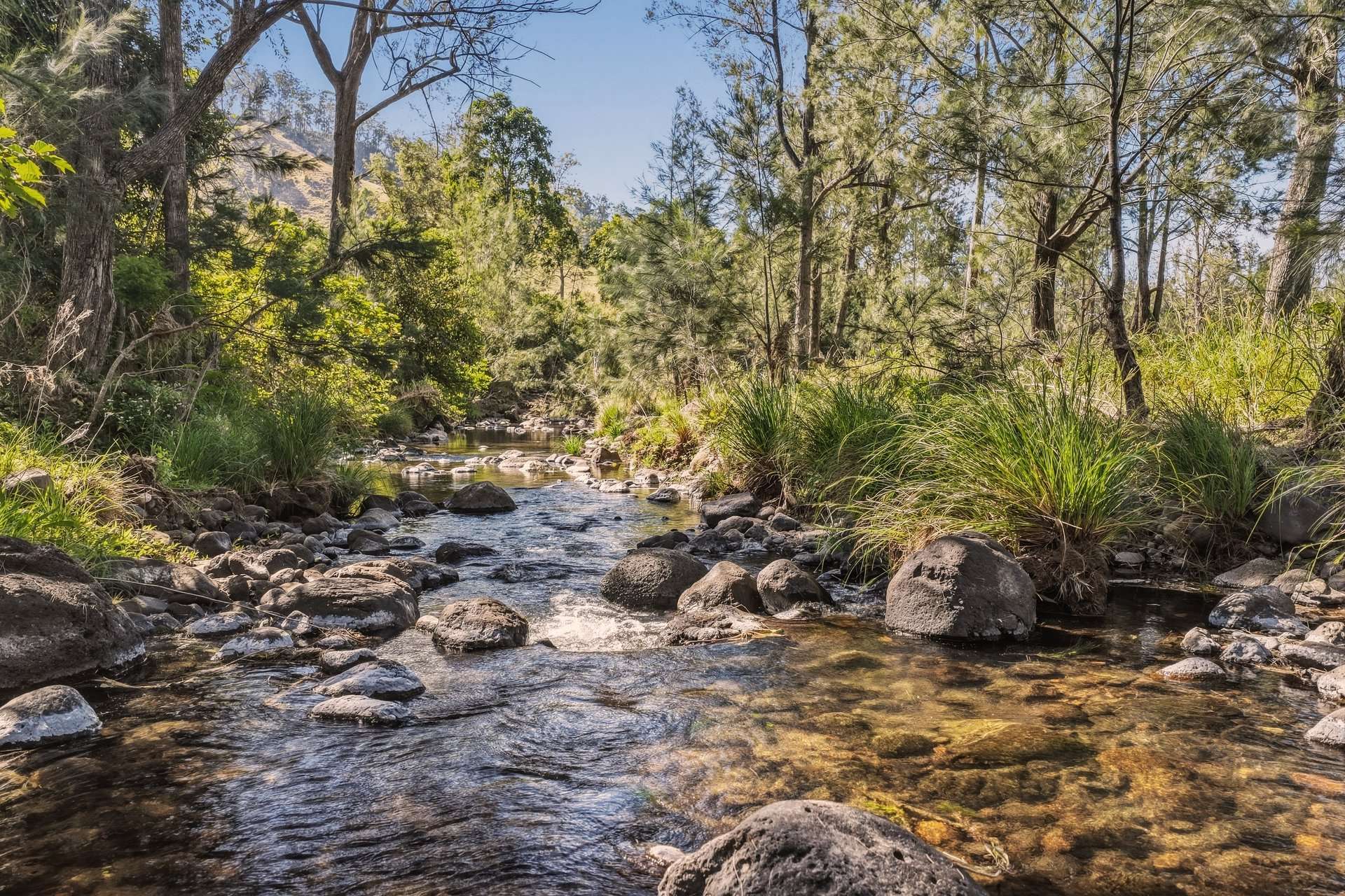 Lot 7 Illinbah Road, Illinbah For Sale by Farmbuy.com - image 9