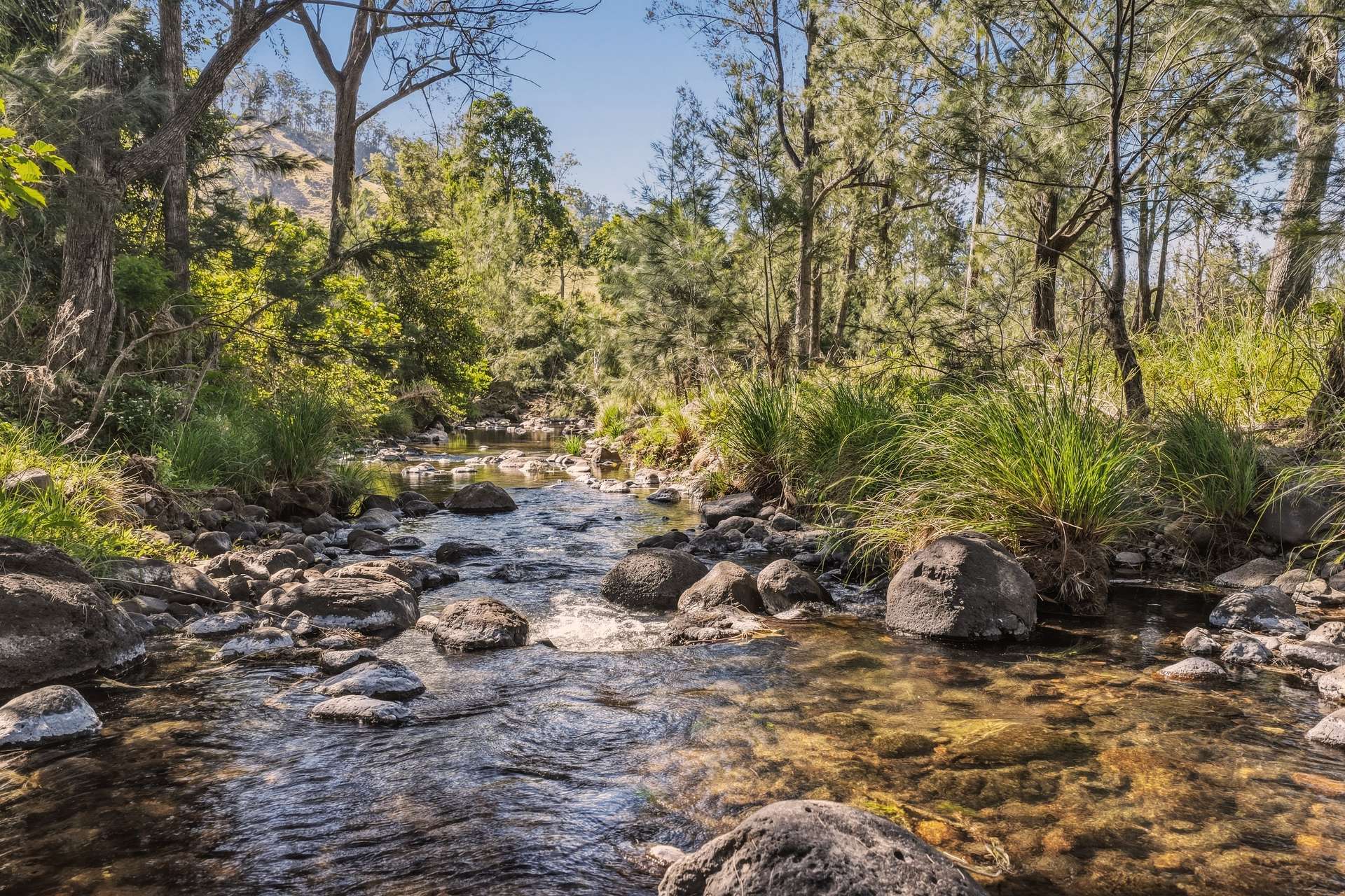 Lot 7 Illinbah Road, Illinbah For Sale by Farmbuy.com - image 8