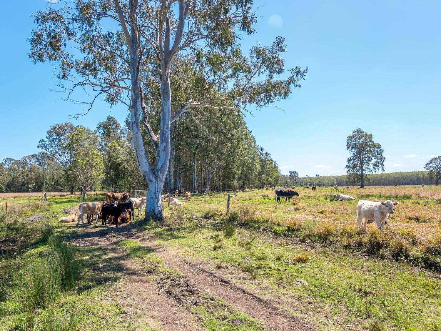 769 Lagoon Road, West Coraki For Sale by Farmbuy.com - image 17