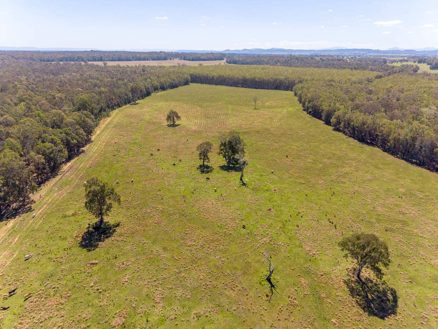 769 Lagoon Road, West Coraki For Sale by Farmbuy.com - image 20