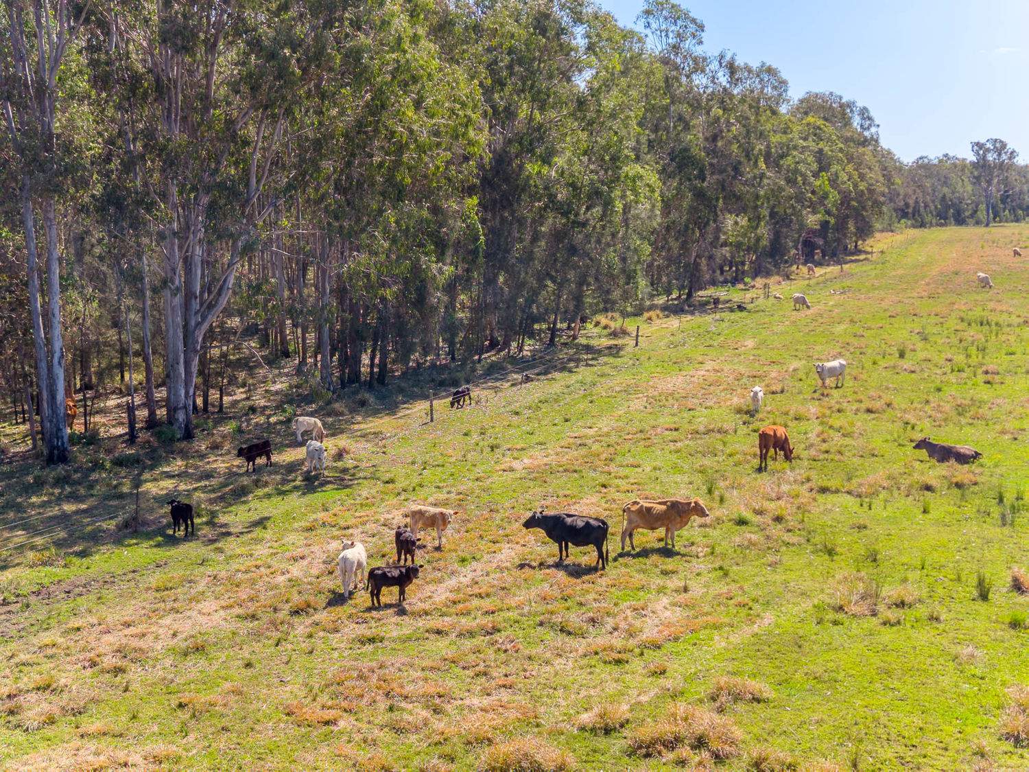 769 Lagoon Road, West Coraki For Sale by Farmbuy.com - image 19