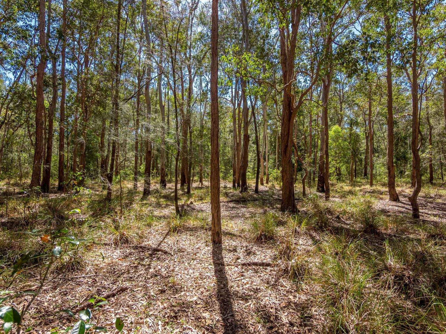 769 Lagoon Road, West Coraki For Sale by Farmbuy.com - image 23