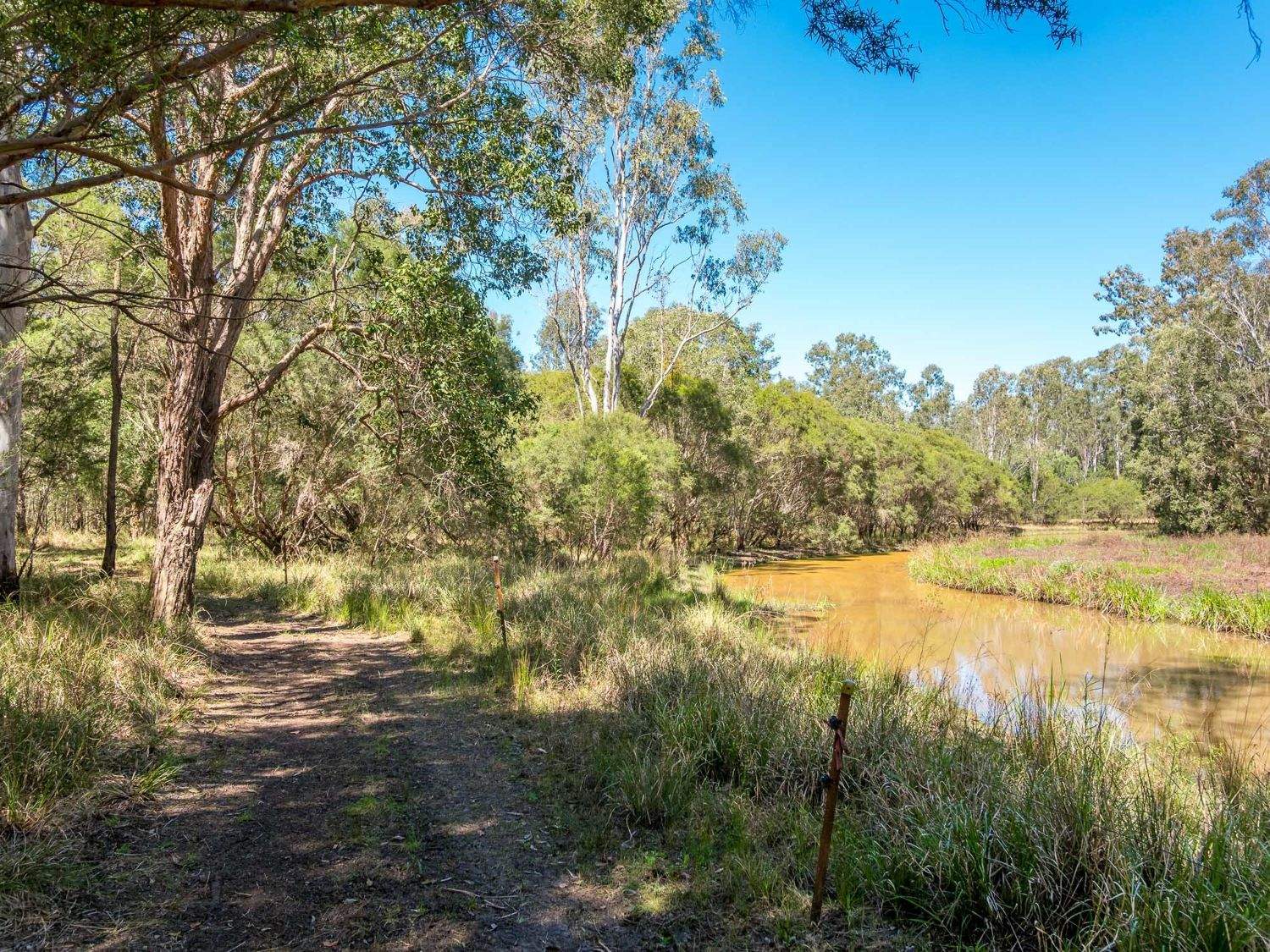 769 Lagoon Road, West Coraki For Sale by Farmbuy.com - image 25