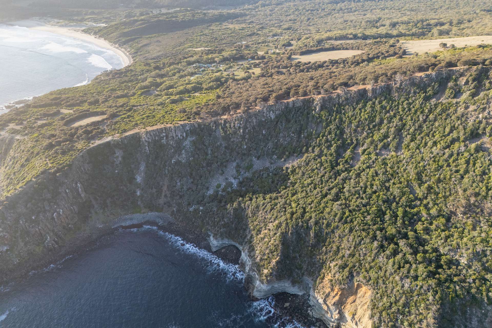 Nubeena For Sale by Farmbuy.com - image 35