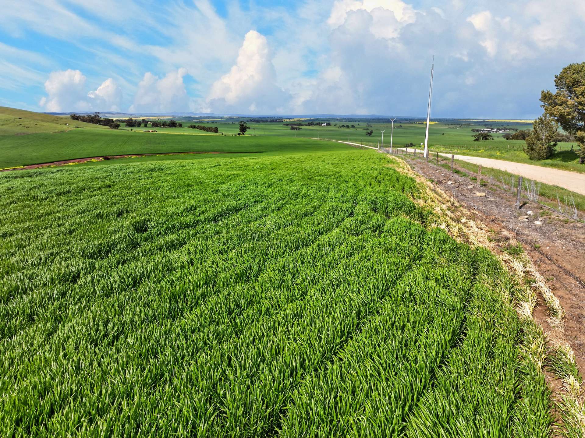 'Schumachers Range' Weichert Road, Bethel Auction by Farmbuy.com - image 10