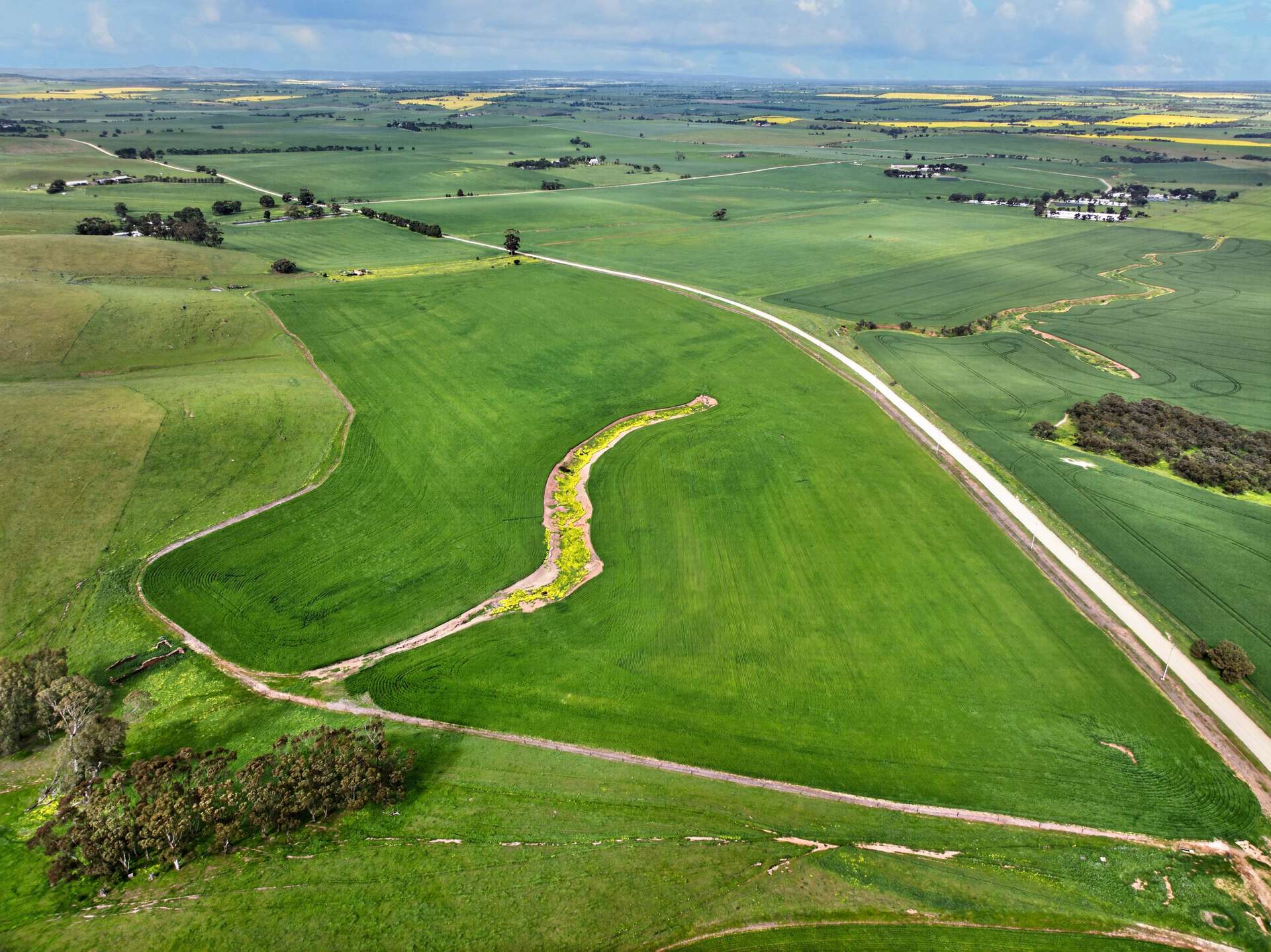 'Schumachers Range' Weichert Road, Bethel Auction by Farmbuy.com - image 6