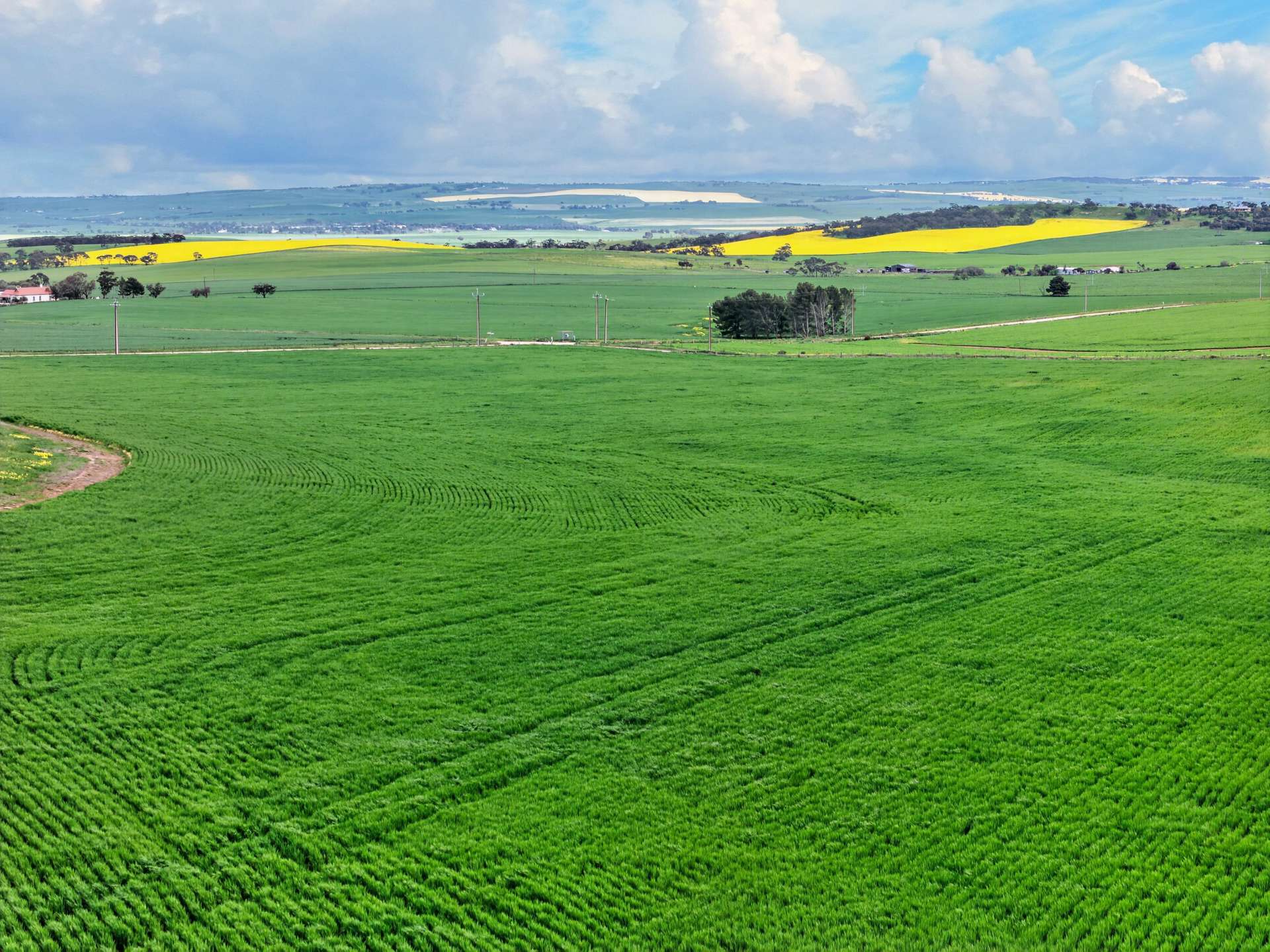 'Schumachers Range' Weichert Road, Bethel Auction by Farmbuy.com - image 8