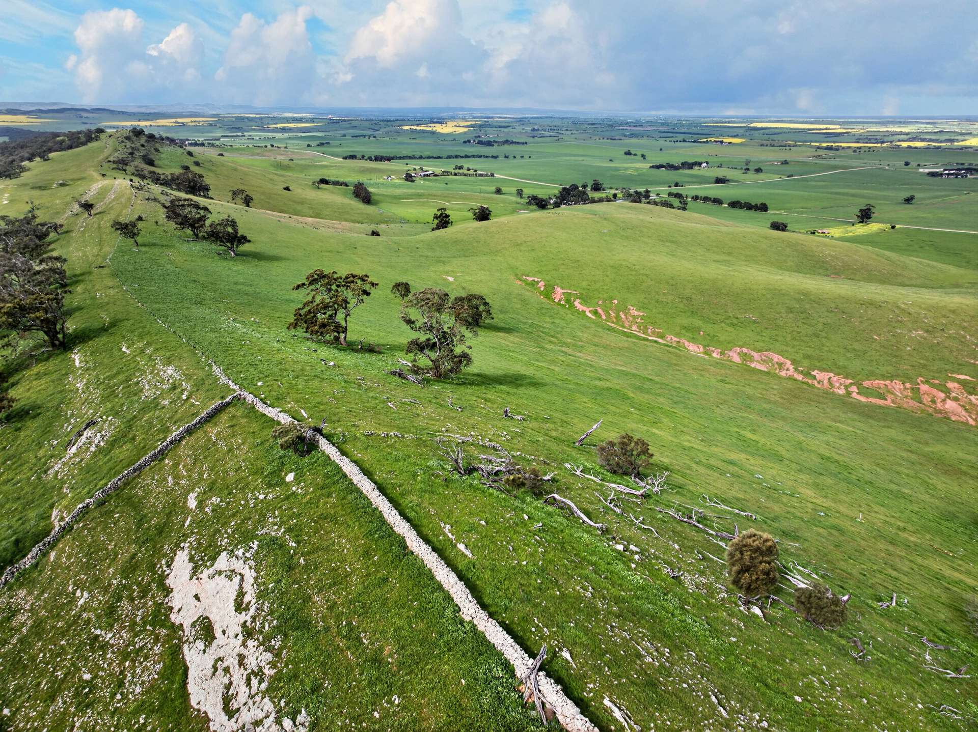 'Schumachers Range' Weichert Road, Bethel Auction by Farmbuy.com - image 3
