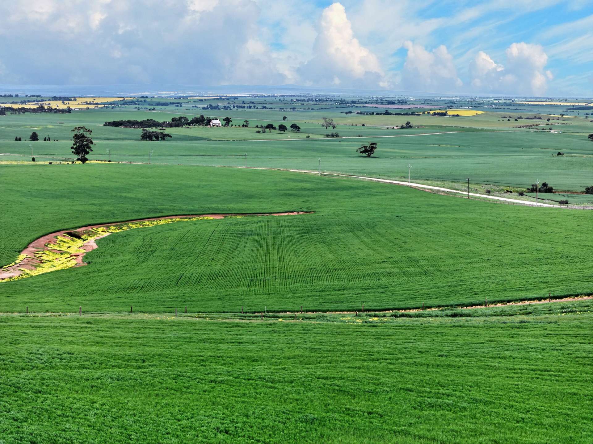 'Schumachers Range' Weichert Road, Bethel Auction by Farmbuy.com - image 9