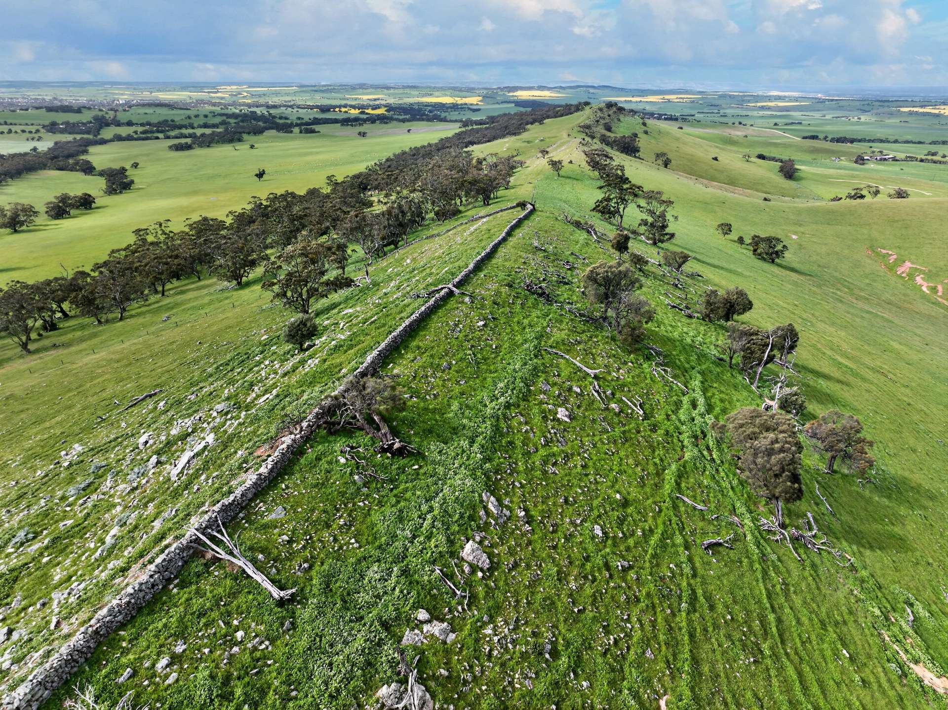 'Schumachers Range' Weichert Road, Bethel Auction by Farmbuy.com - image 7