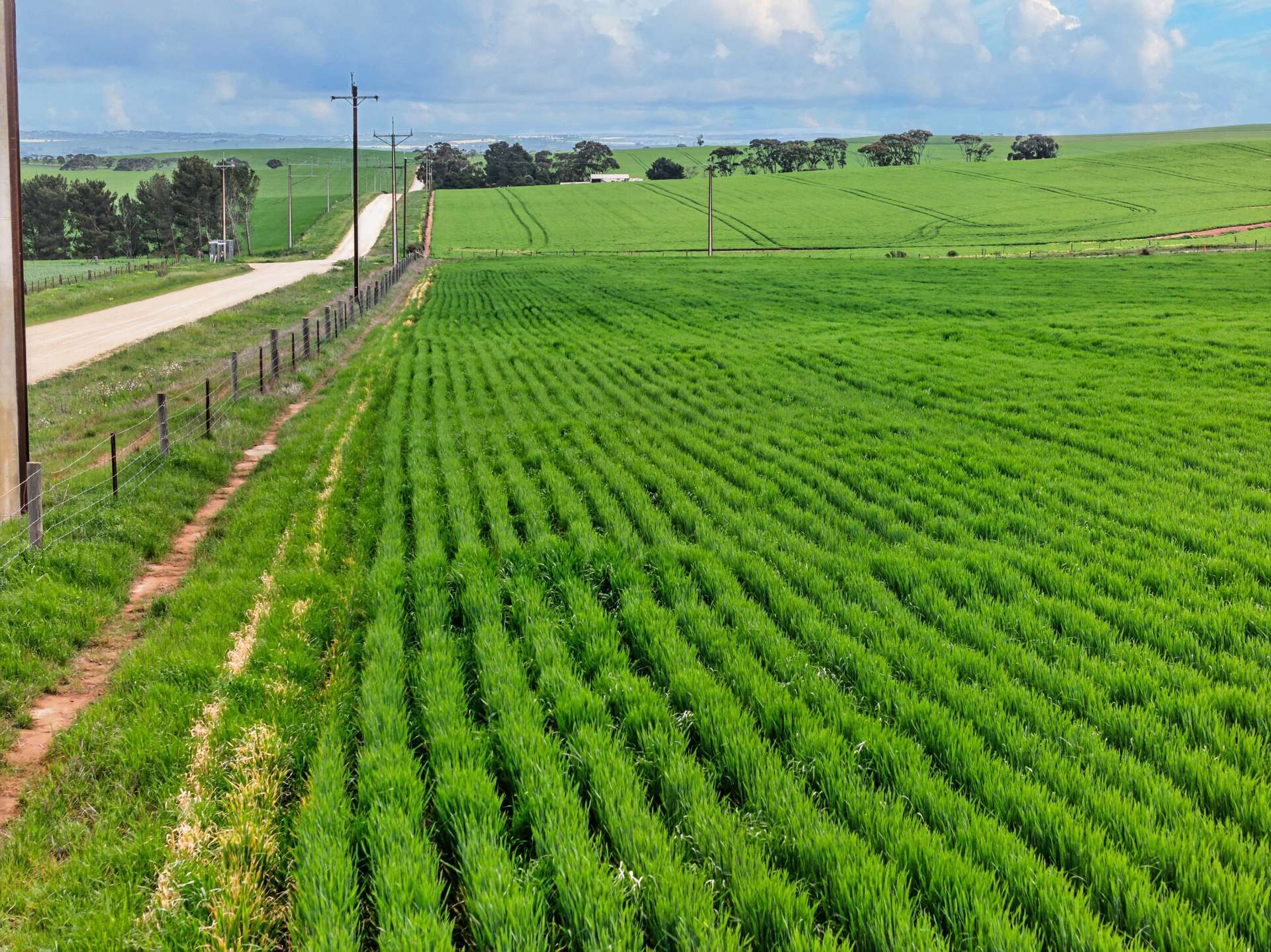 'Schumachers Range' Weichert Road, Bethel Auction by Farmbuy.com - image 5
