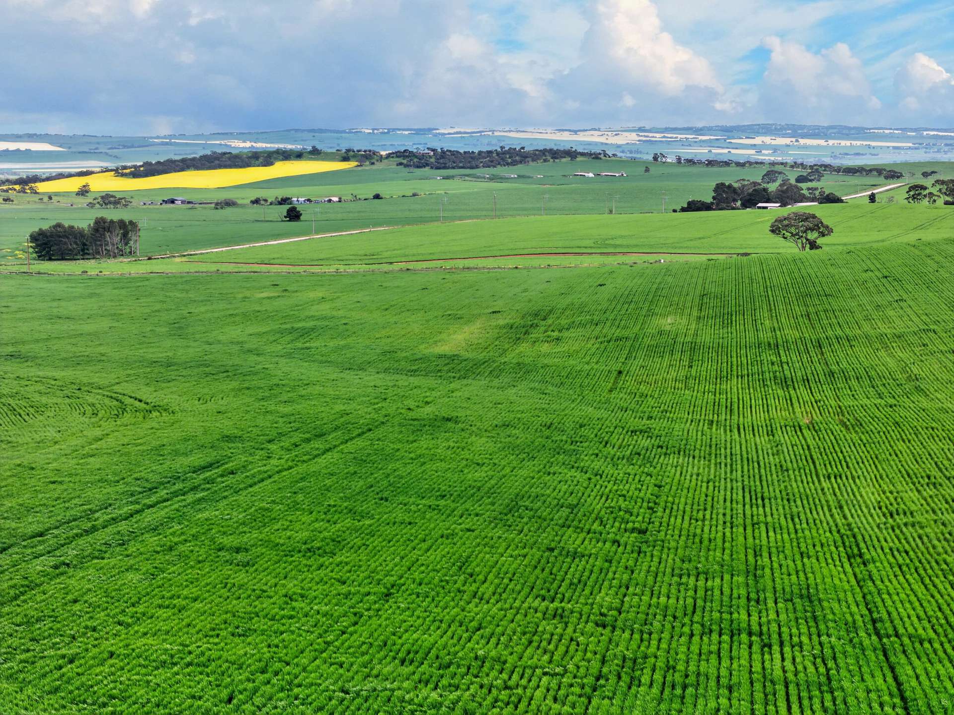 'Schumachers Range' Weichert Road, Bethel Auction by Farmbuy.com - image 2