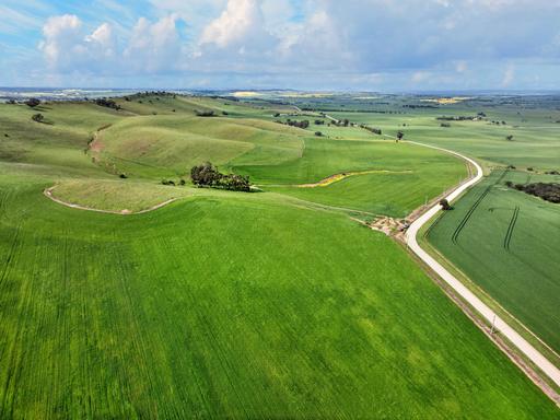 Farm Auction - SA - Bethel - 5373 - Quality Bethel Farming Land with Lifestyle Potential 