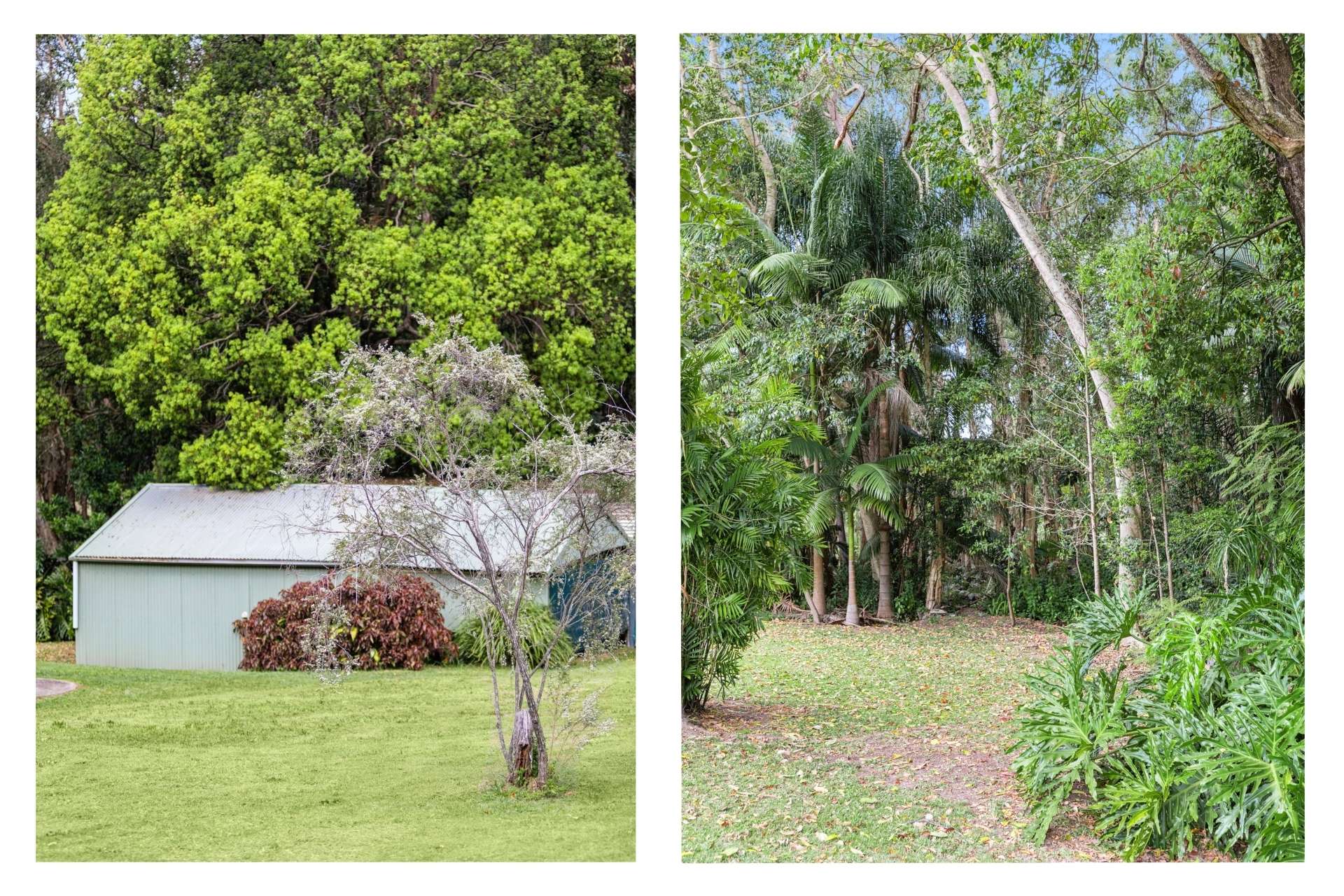103 Fullertons Road, Glass House Mountains For Sale by Farmbuy.com - image 20