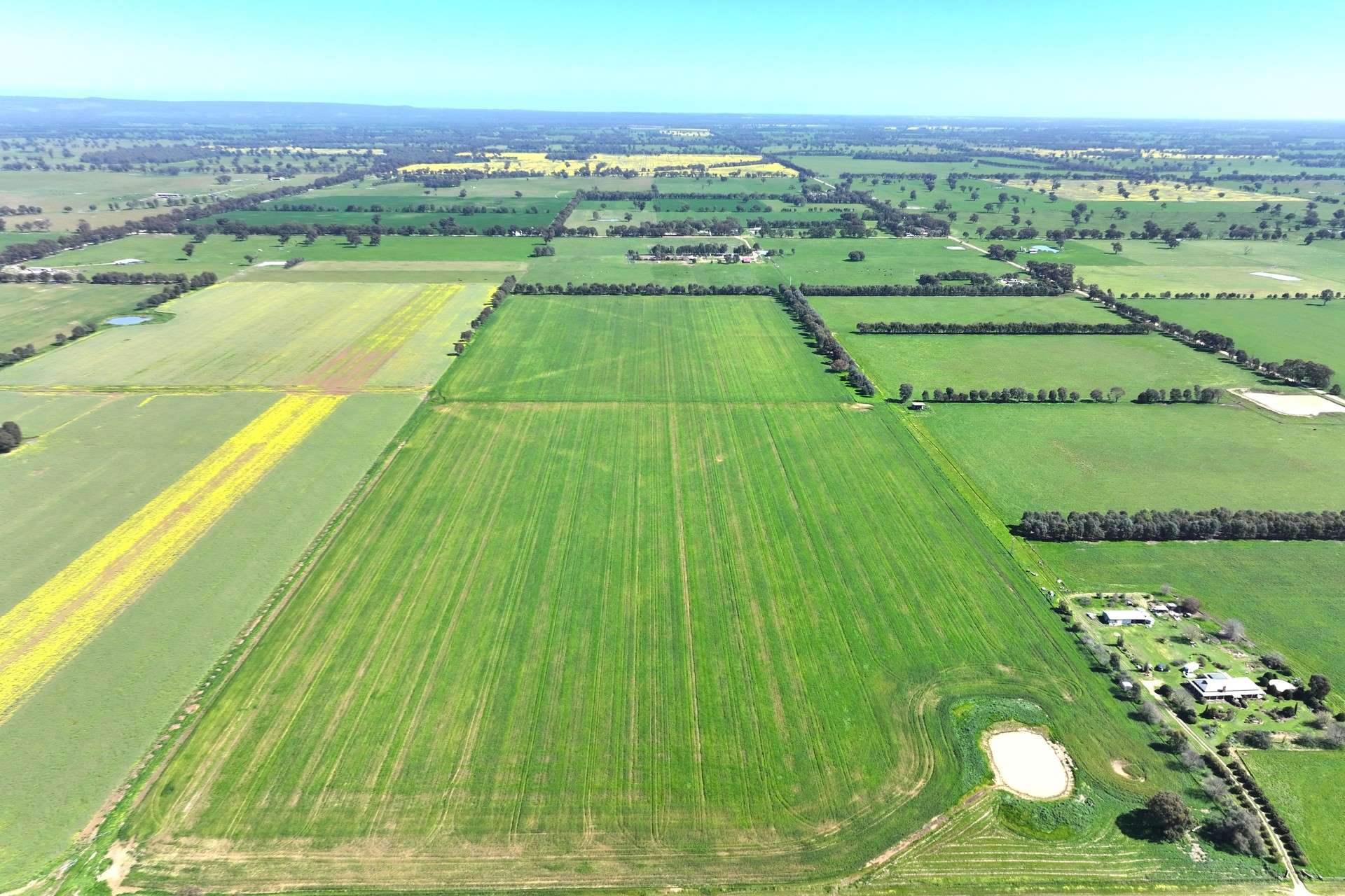 350 Boralma-Rutherglen Road, Boralma For Sale by Farmbuy.com - image 5