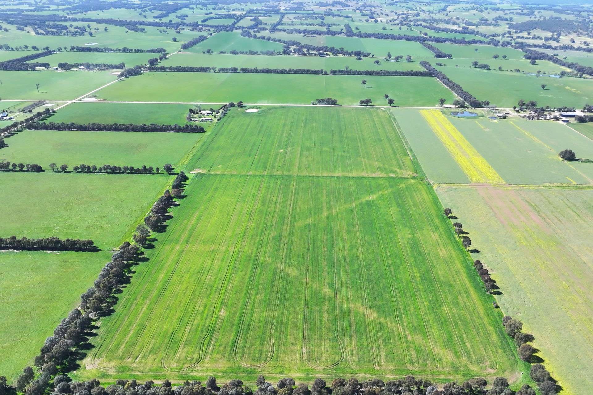 350 Boralma-Rutherglen Road, Boralma For Sale by Farmbuy.com - image 7
