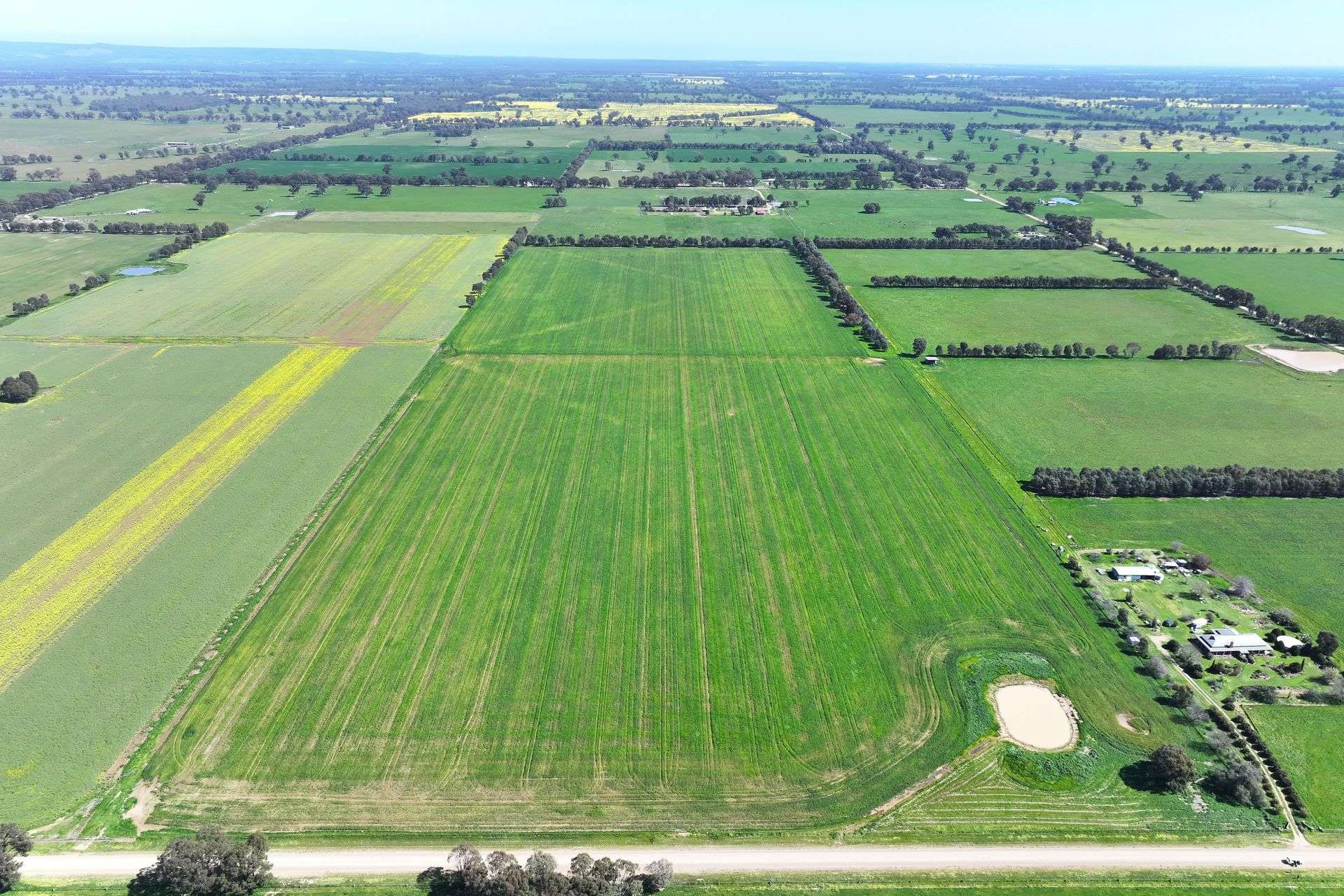 350 Boralma-Rutherglen Road, Boralma For Sale by Farmbuy.com - image 4
