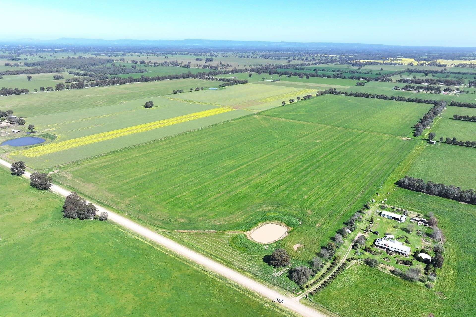 350 Boralma-Rutherglen Road, Boralma For Sale by Farmbuy.com - image 2