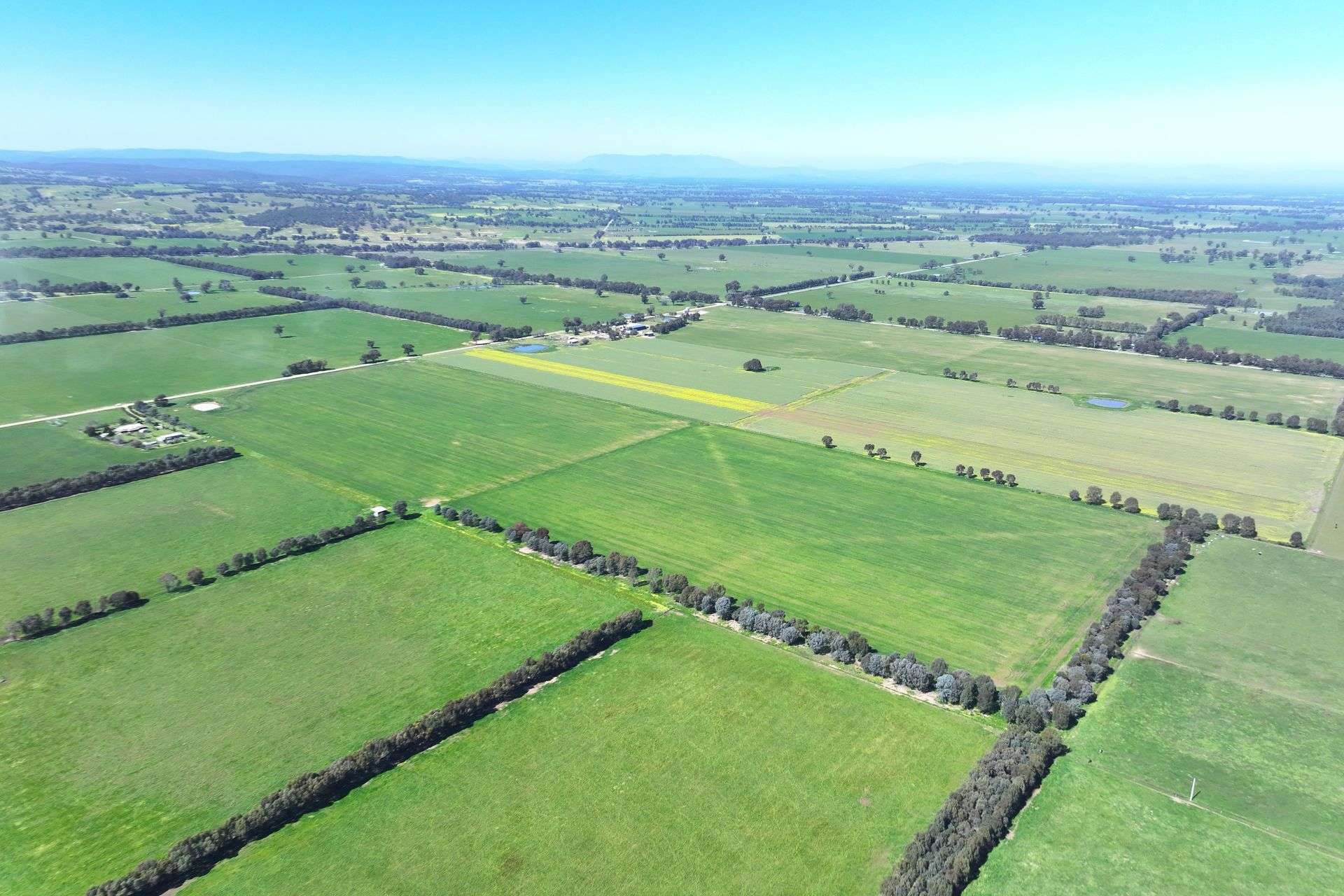 350 Boralma-Rutherglen Road, Boralma For Sale by Farmbuy.com - image 3