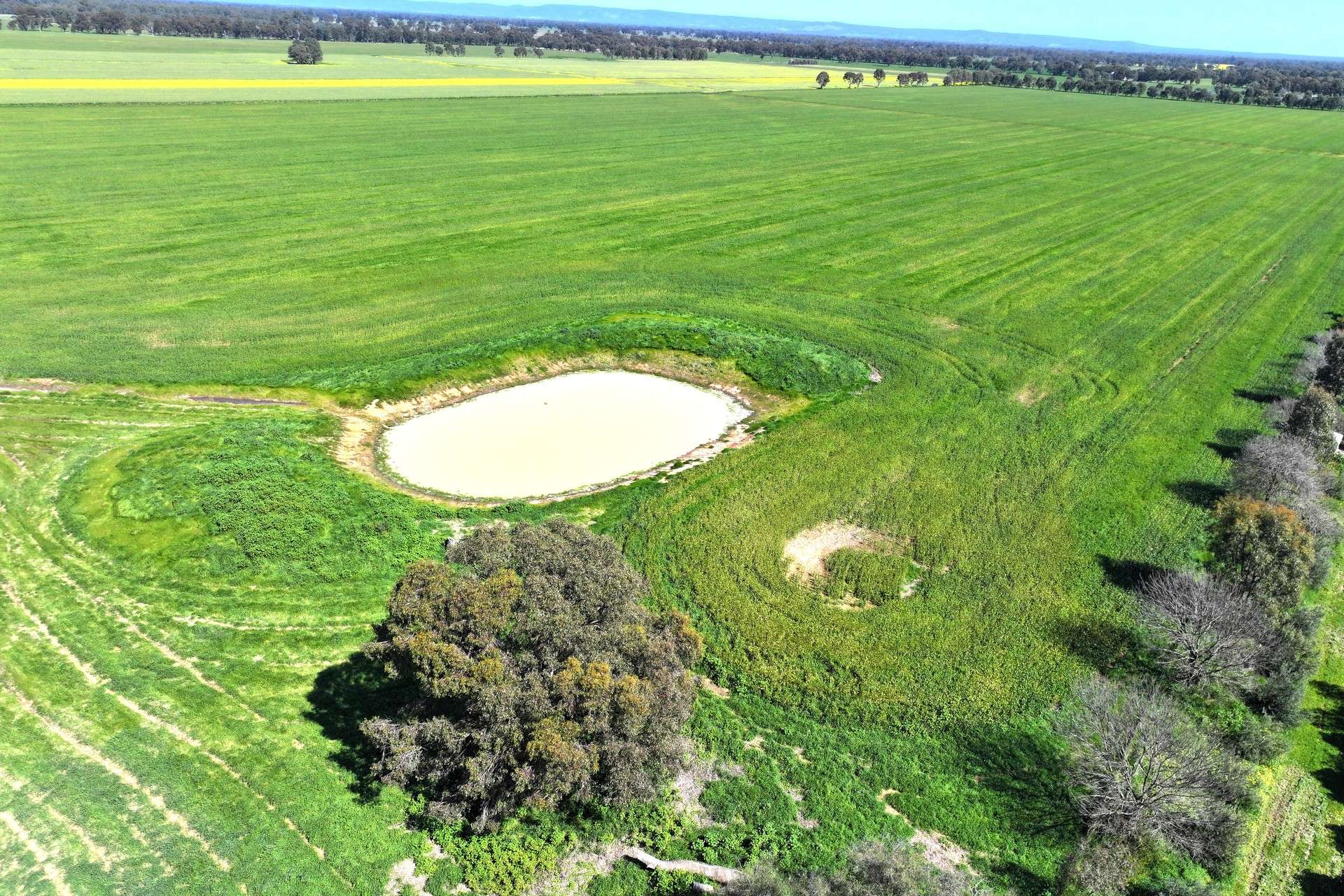 350 Boralma-Rutherglen Road, Boralma For Sale by Farmbuy.com - image 13