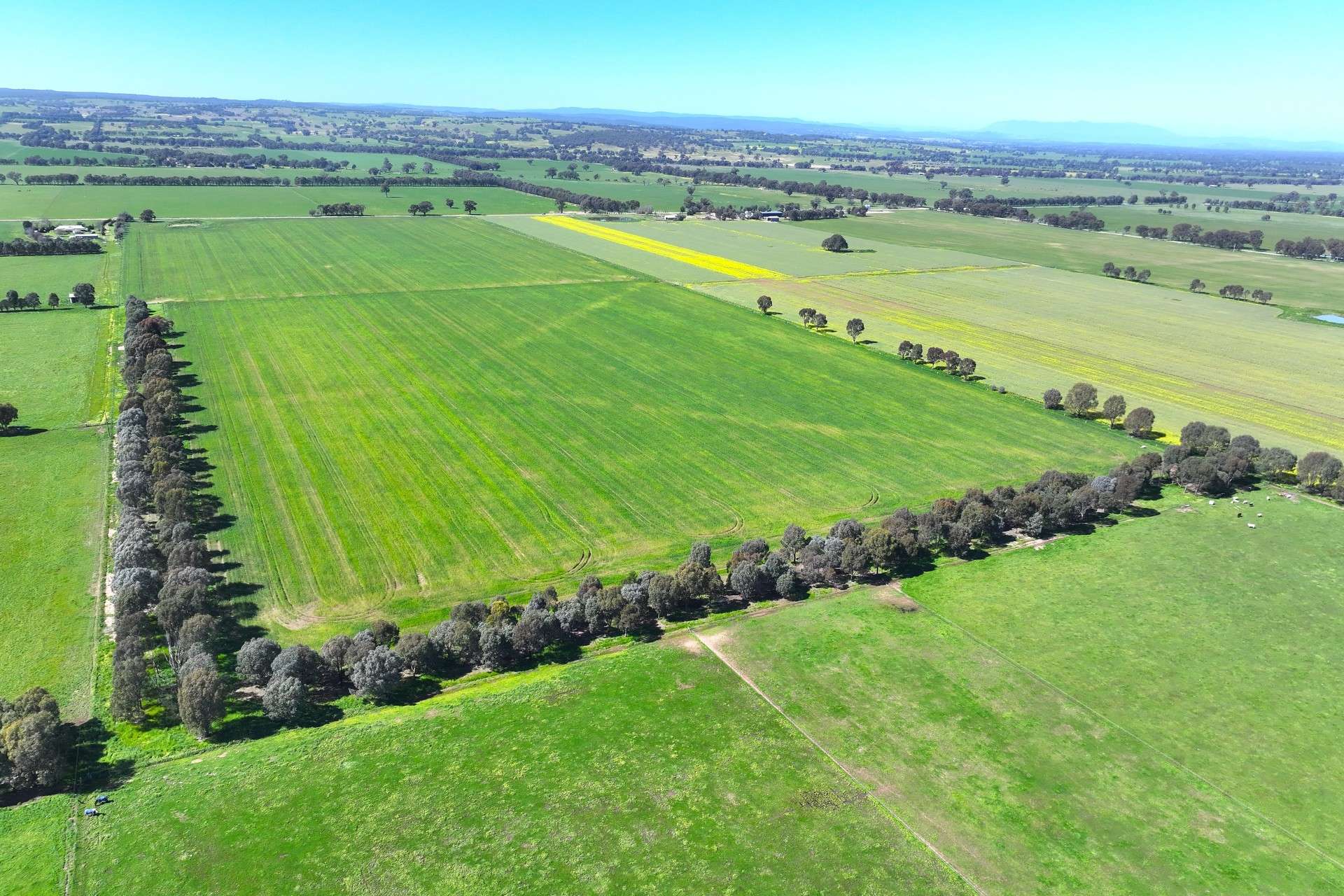 350 Boralma-Rutherglen Road, Boralma For Sale by Farmbuy.com - image 9