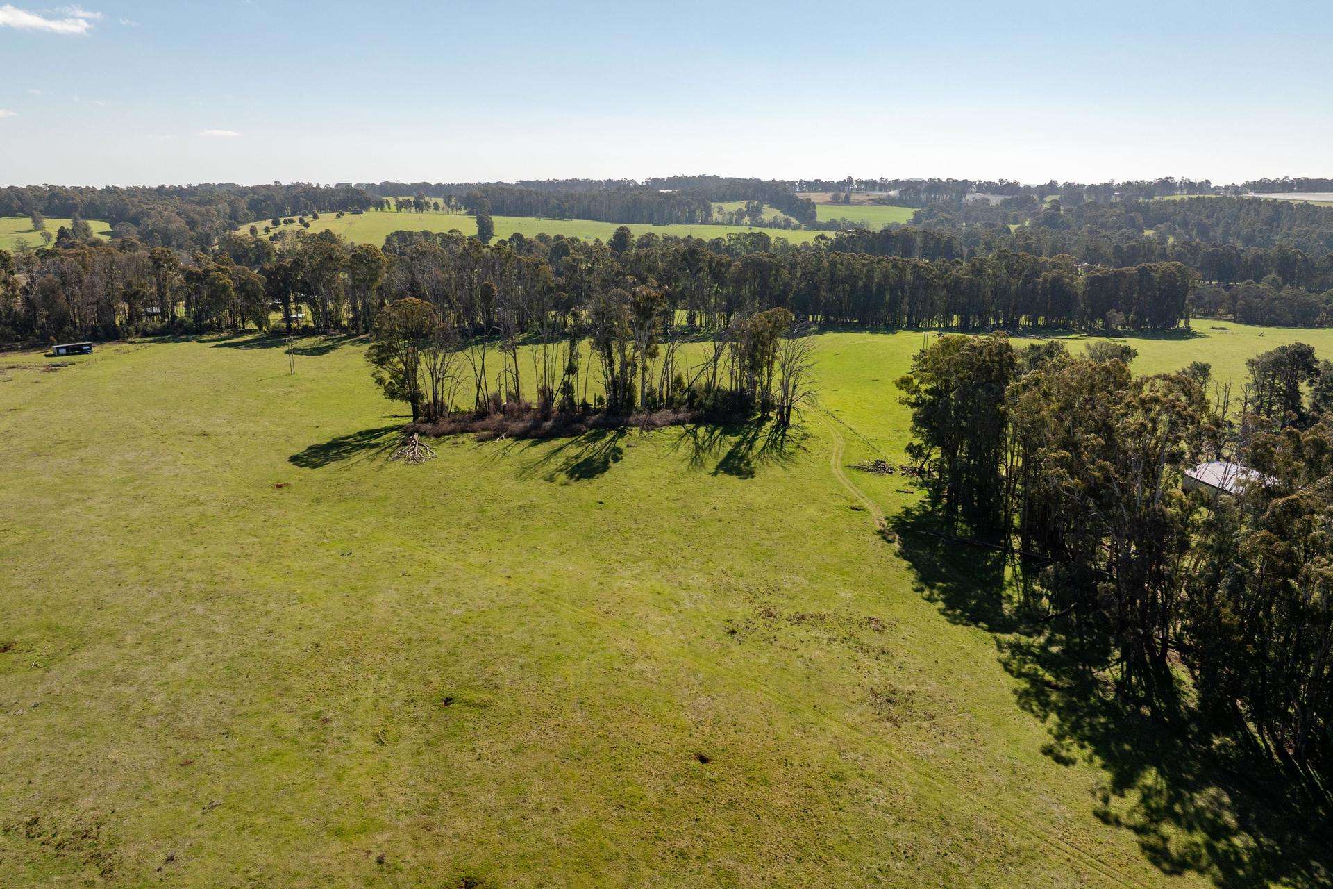 241 Back Kunama Road, Batlow Auction by Farmbuy.com - image 5