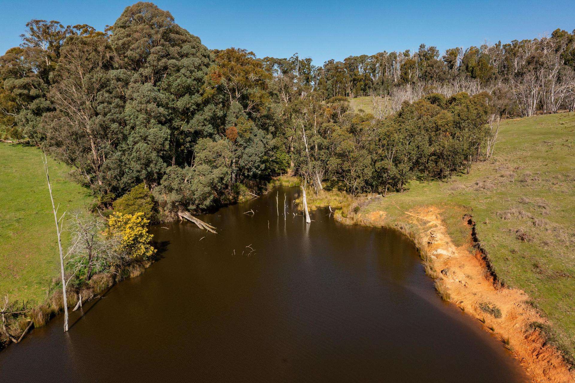 241 Back Kunama Road, Batlow Auction by Farmbuy.com - image 4