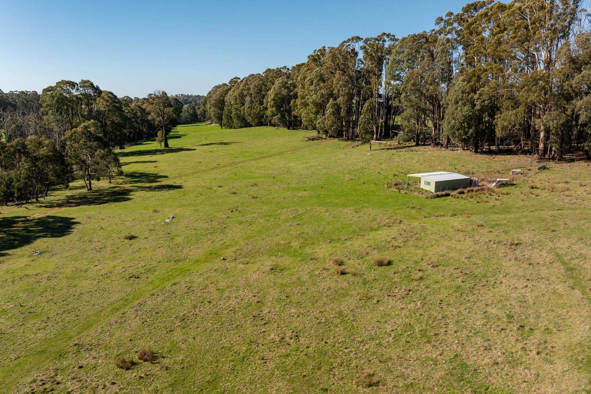 241 Back Kunama Road, Batlow Auction by Farmbuy.com - image 7