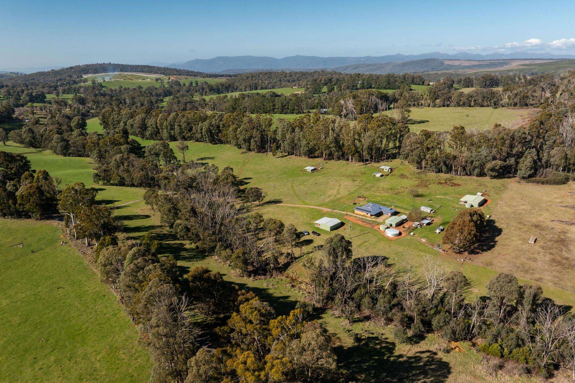 241 Back Kunama Road, Batlow Auction by Farmbuy.com - image 8