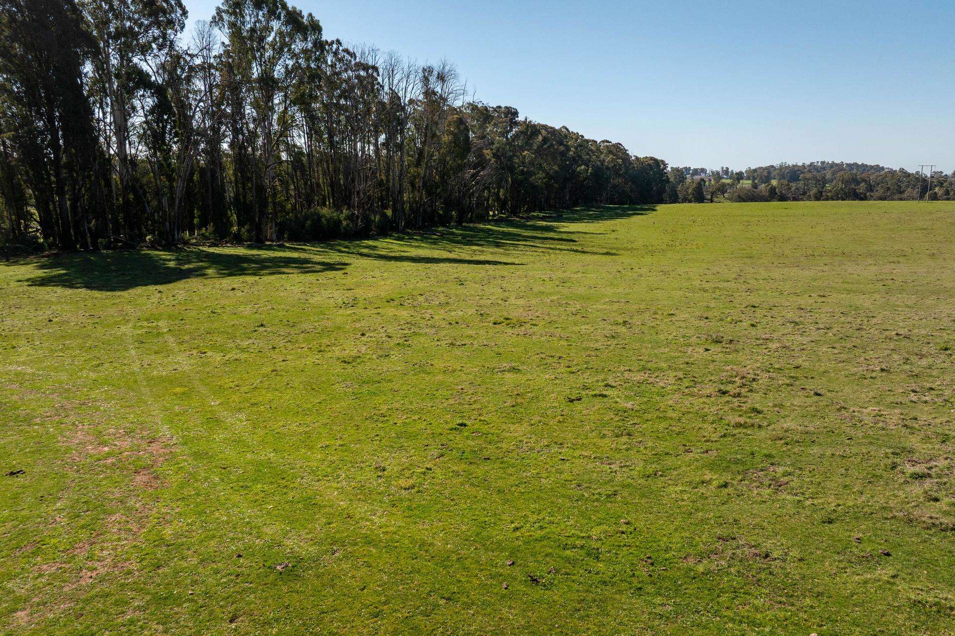 241 Back Kunama Road, Batlow Auction by Farmbuy.com - image 6
