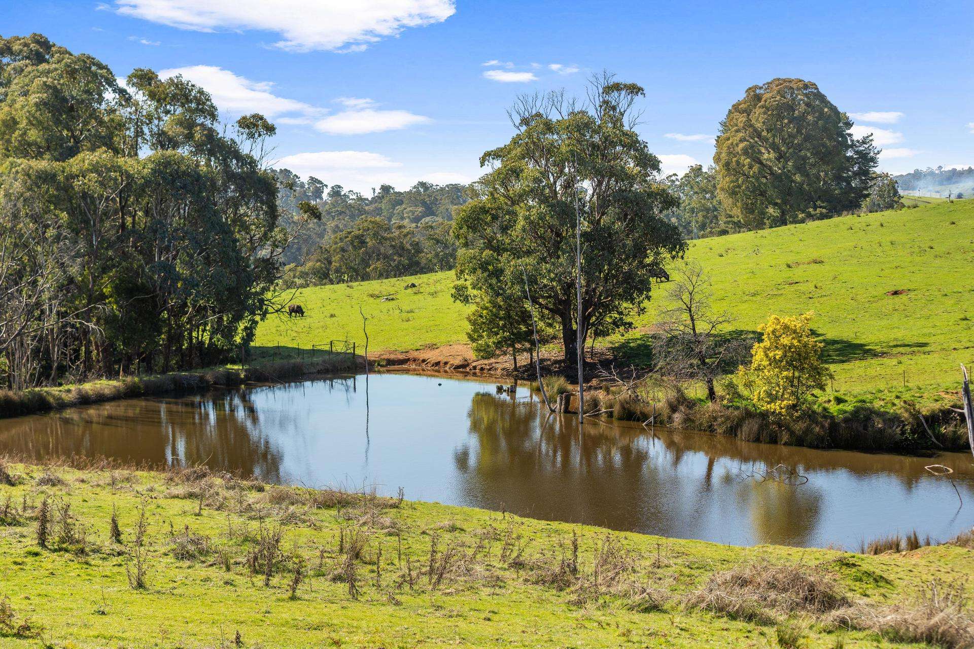 241 Back Kunama Road, Batlow Auction by Farmbuy.com - image 2