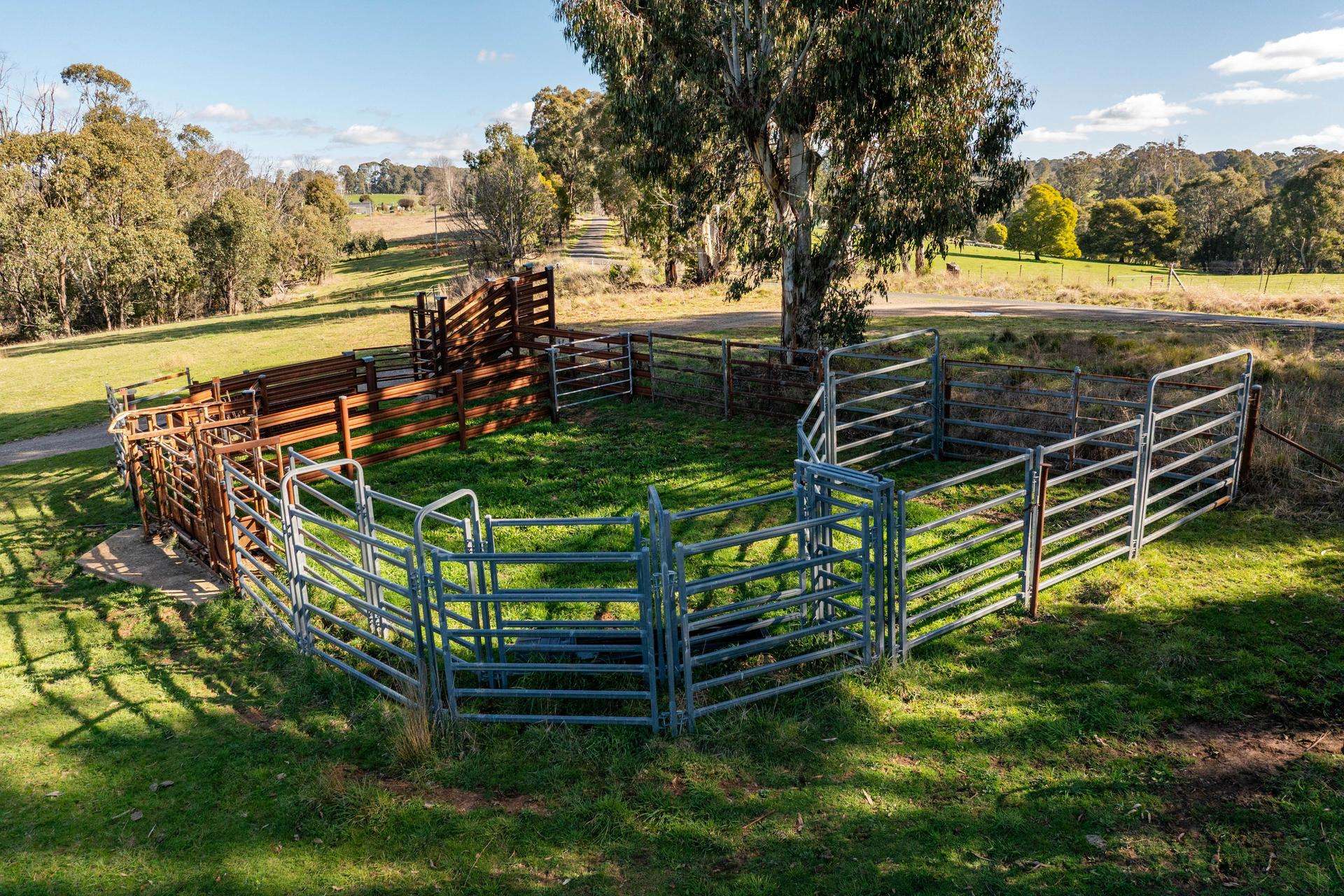 241 Back Kunama Road, Batlow Auction by Farmbuy.com - image 9