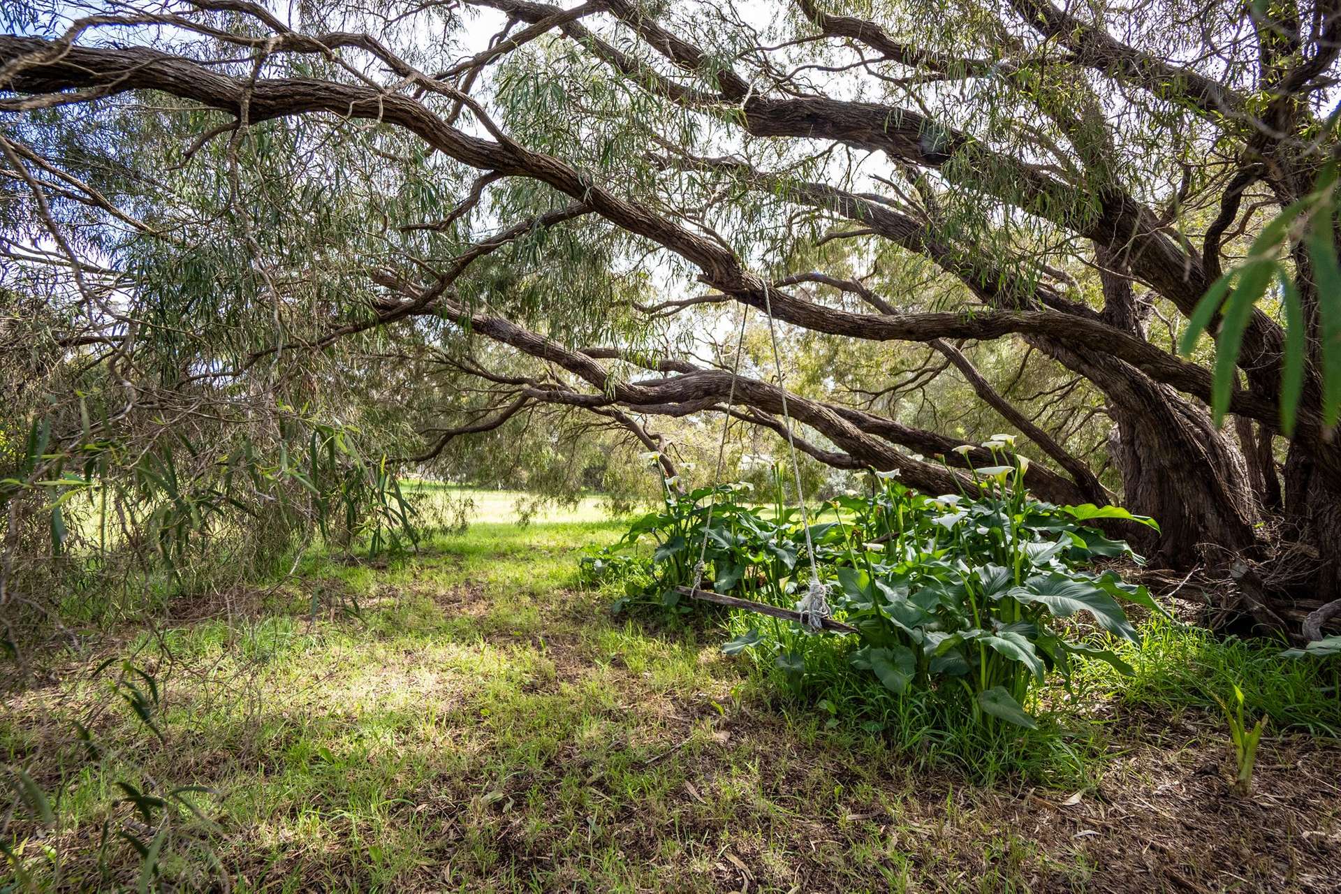 PL 231 / 31 Eucalyptus Court, Margaret River For Sale by Farmbuy.com - image 10