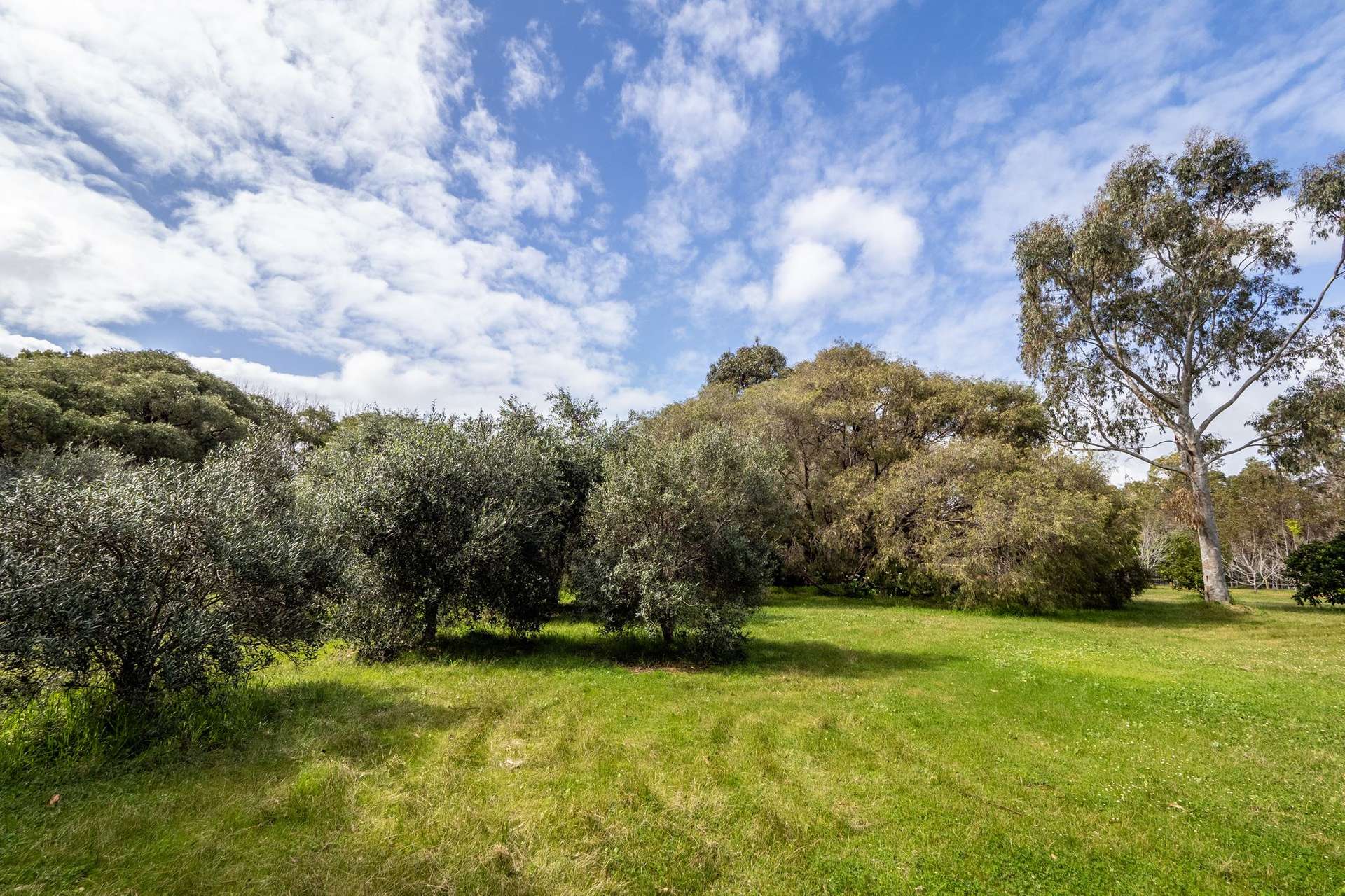 PL 231 / 31 Eucalyptus Court, Margaret River For Sale by Farmbuy.com - image 8