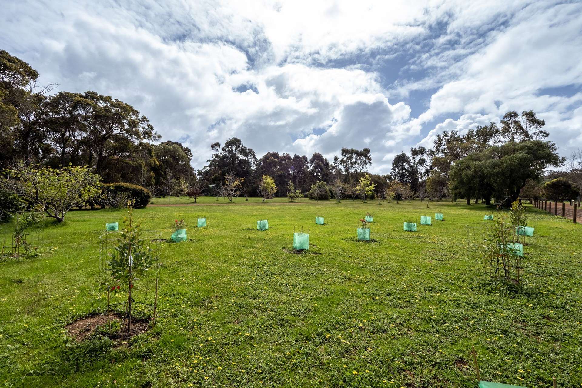 PL 231 / 31 Eucalyptus Court, Margaret River For Sale by Farmbuy.com - image 5