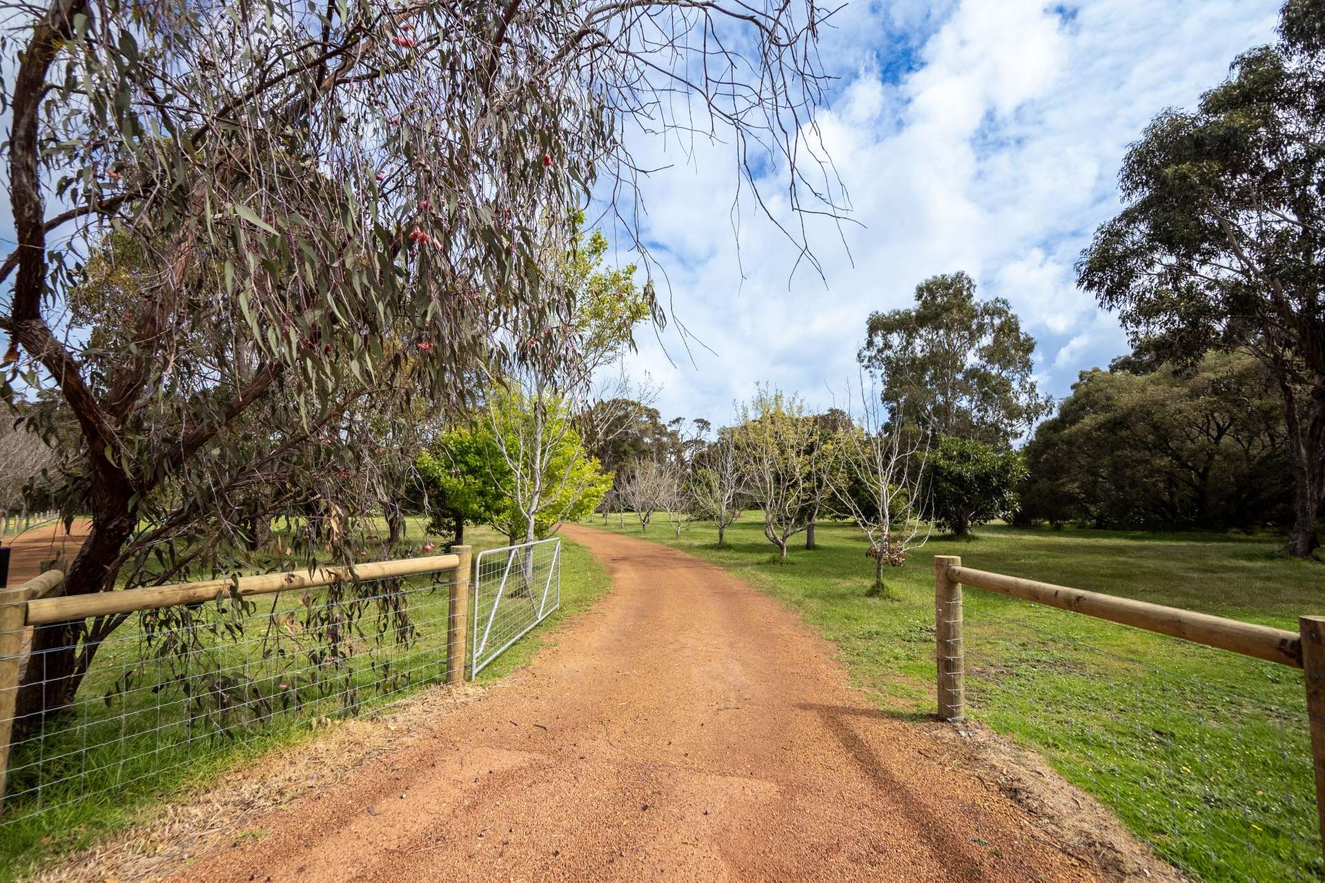 PL 231 / 31 Eucalyptus Court, Margaret River For Sale by Farmbuy.com - image 2