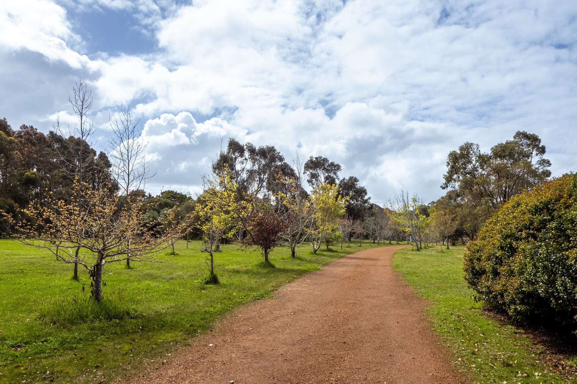 PL 231 / 31 Eucalyptus Court, Margaret River For Sale by Farmbuy.com - image 3