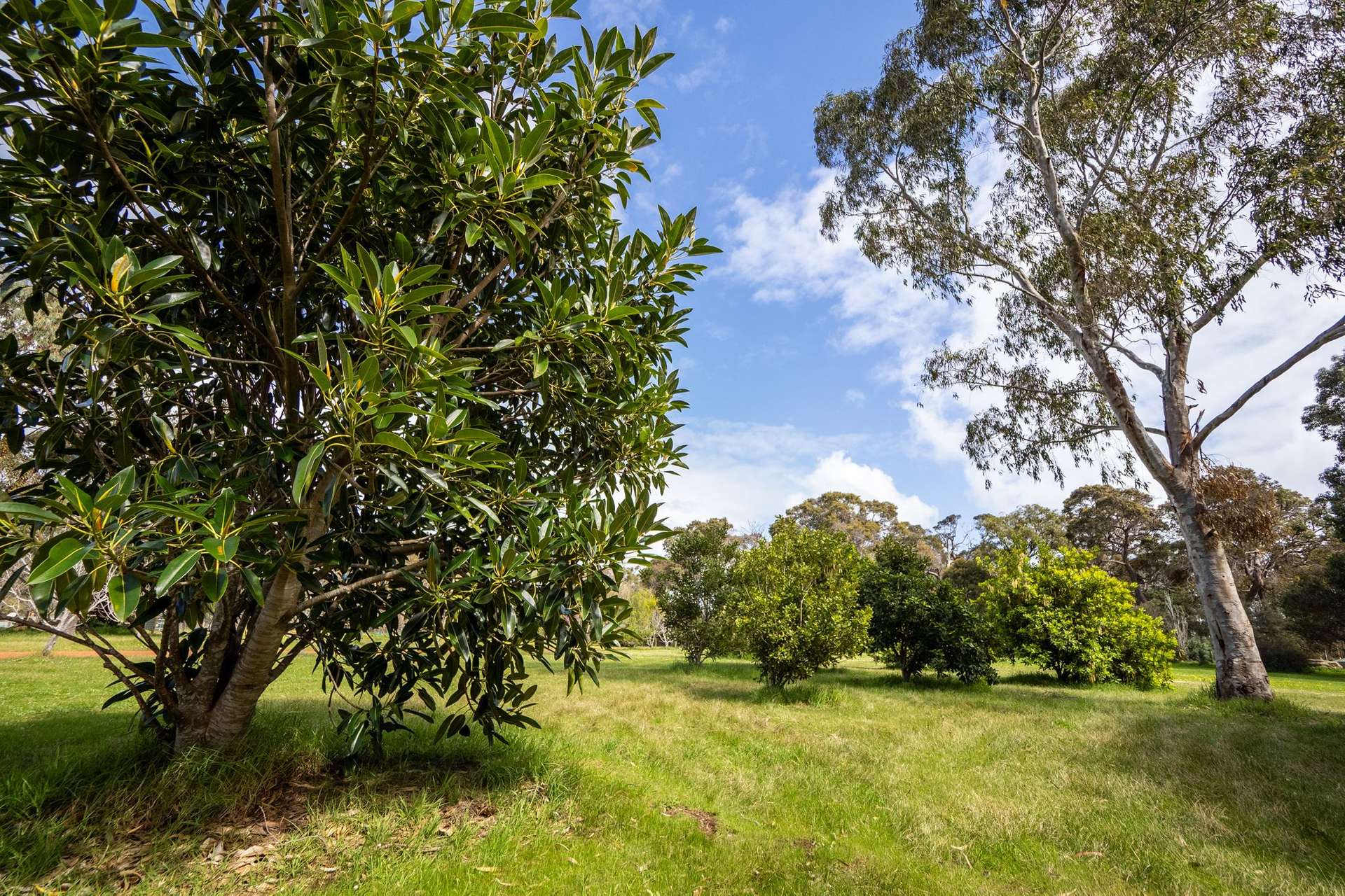 PL 231 / 31 Eucalyptus Court, Margaret River For Sale by Farmbuy.com - image 4