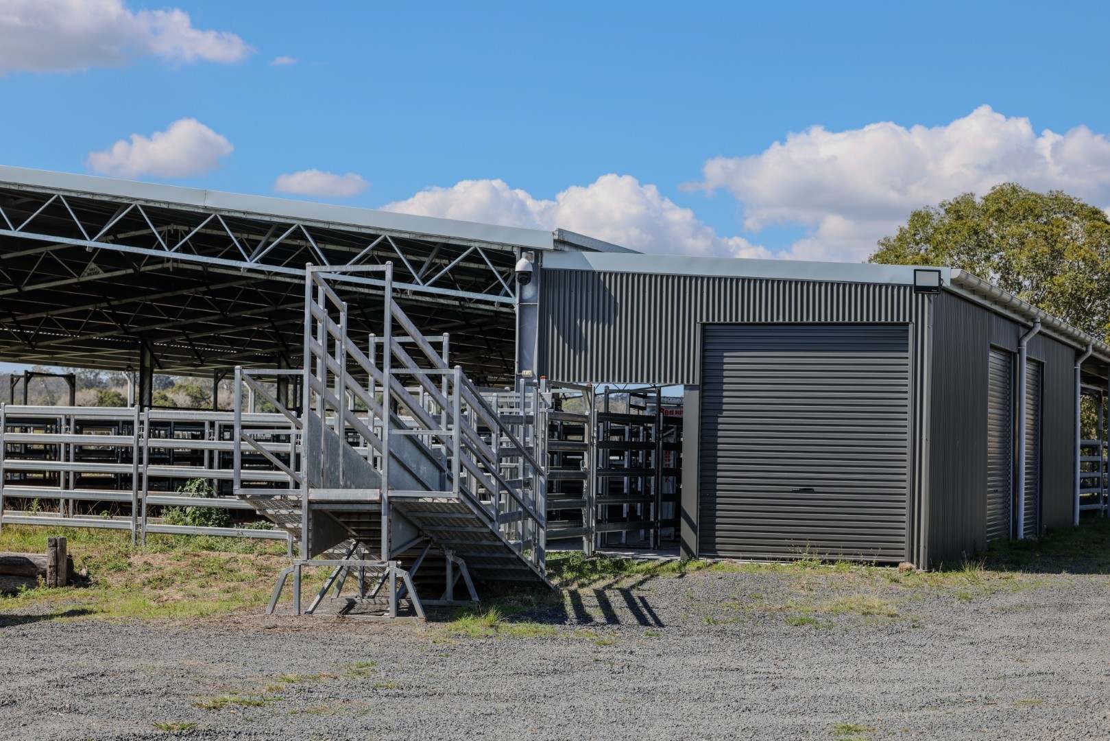 182 Nagles Falls Road, Sherwood Auction by Farmbuy.com - image 26