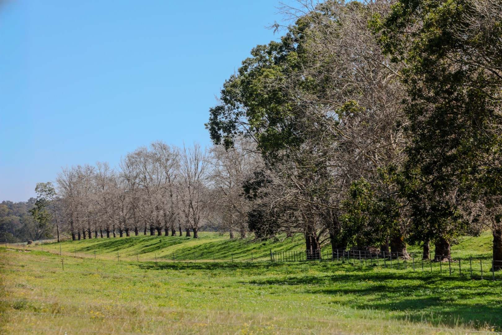 182 Nagles Falls Road, Sherwood Auction by Farmbuy.com - image 10