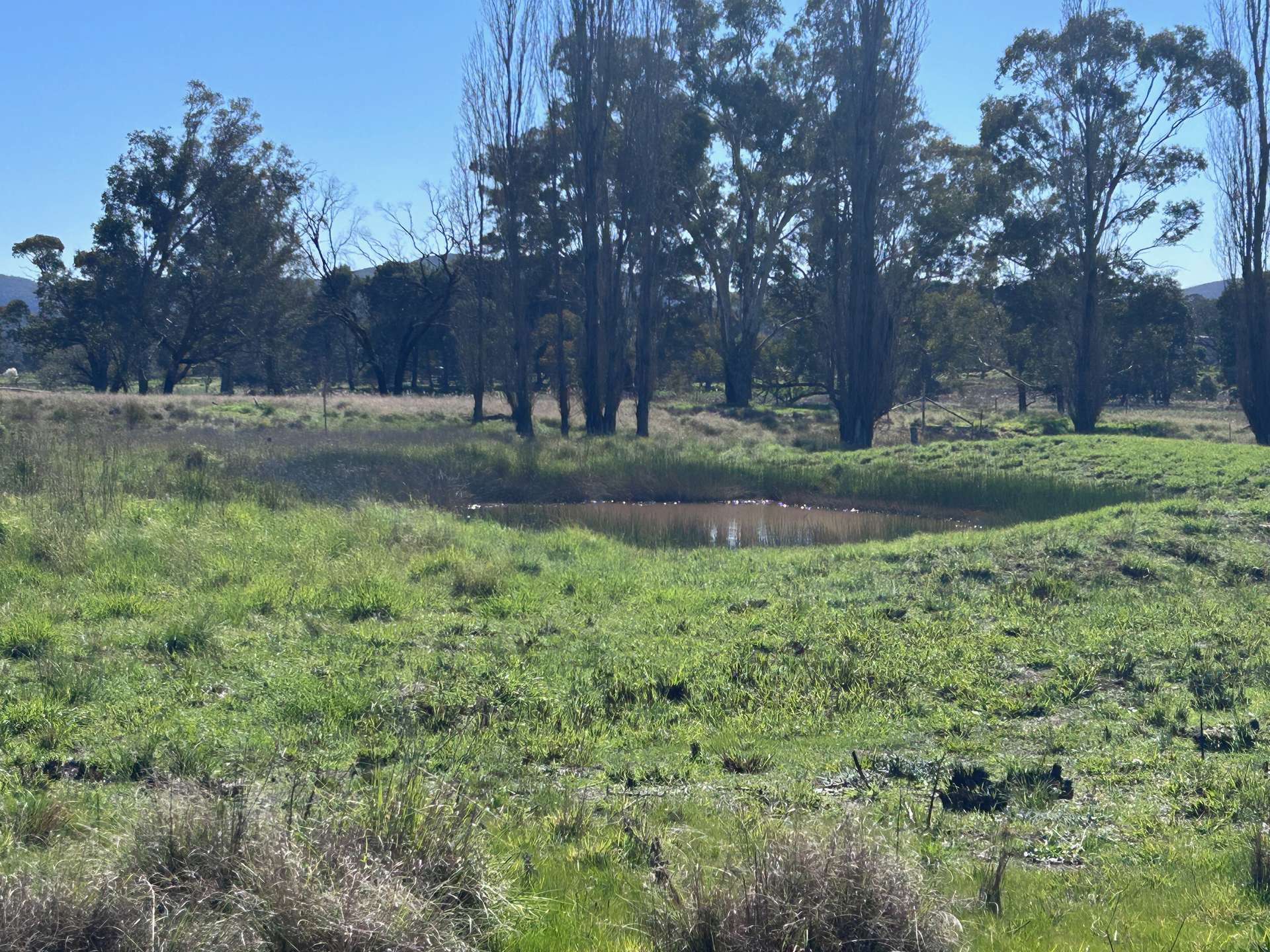 1 Lake Endeavour Road, Parkes For Sale by Farmbuy.com - image 2