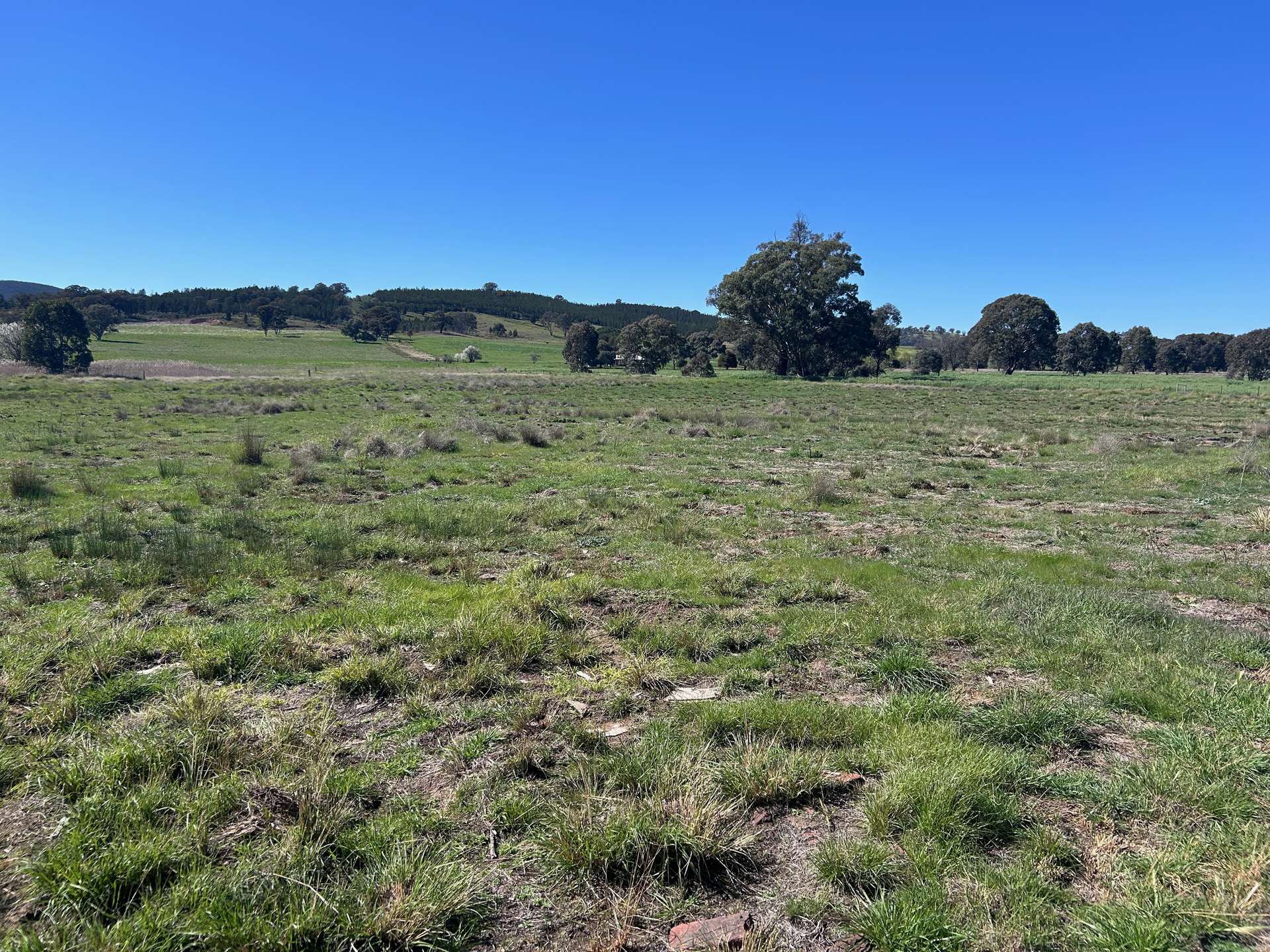 1 Lake Endeavour Road, Parkes For Sale by Farmbuy.com - image 4