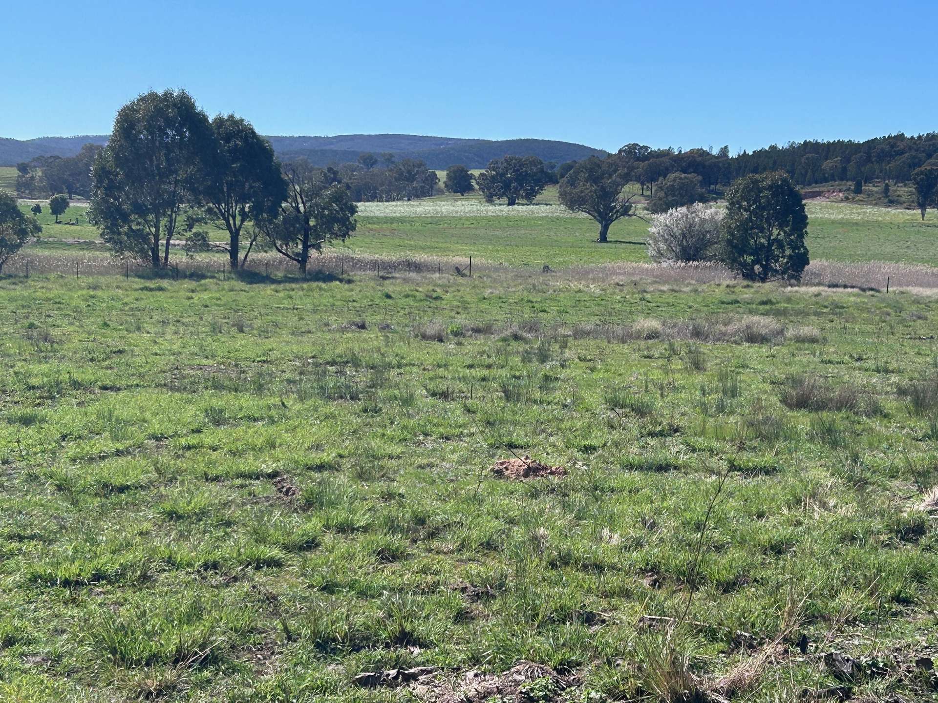 1 Lake Endeavour Road, Parkes For Sale by Farmbuy.com - image 5