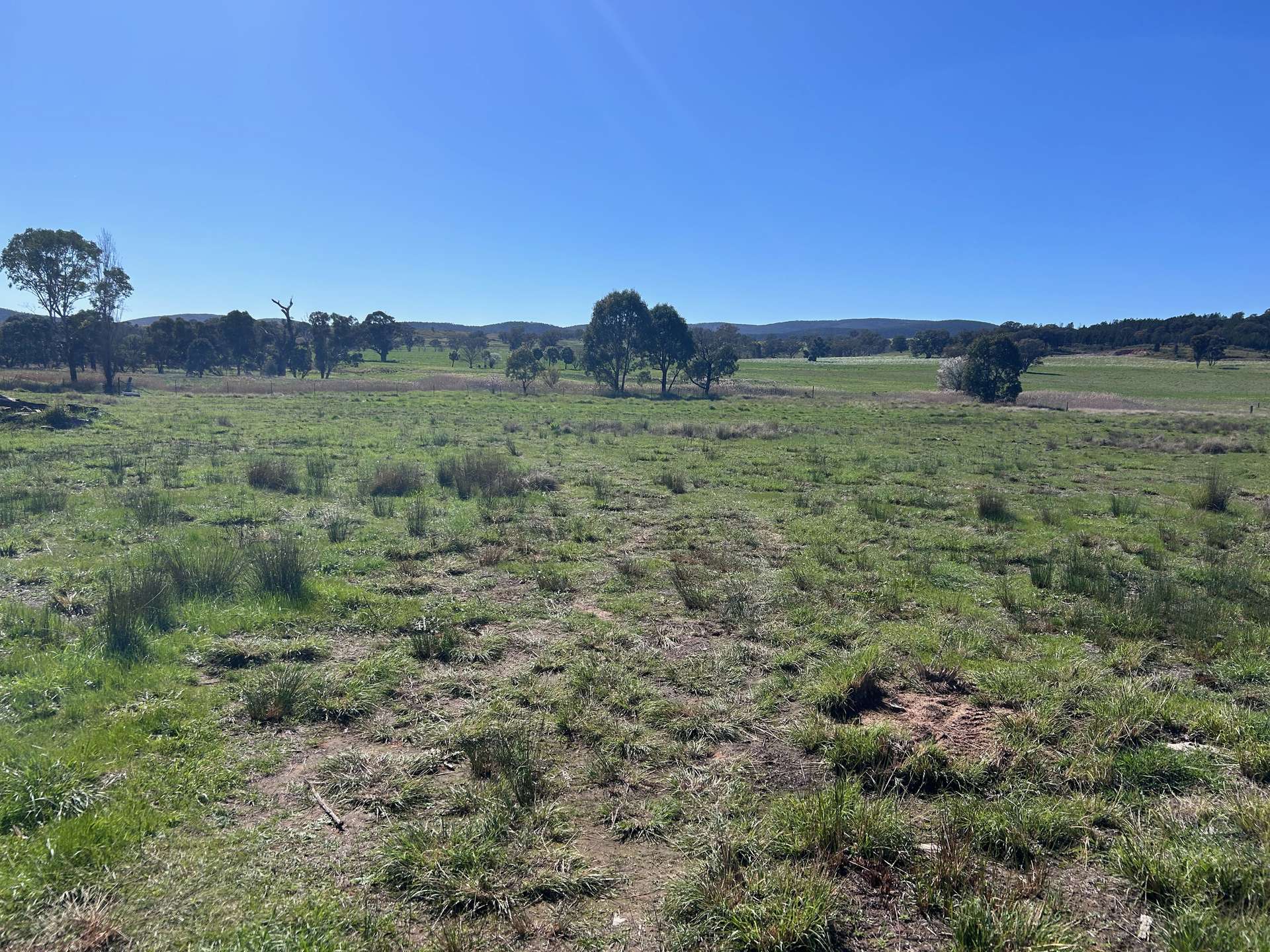 . Lake Endeavour Road, Parkes For Sale by Farmbuy.com - image 5